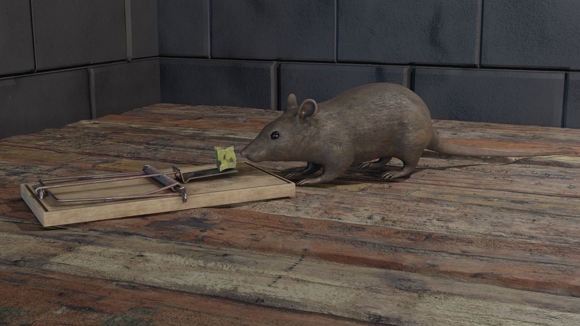 Mouse rat Plus Mousetrap Low-poly 3D model_1