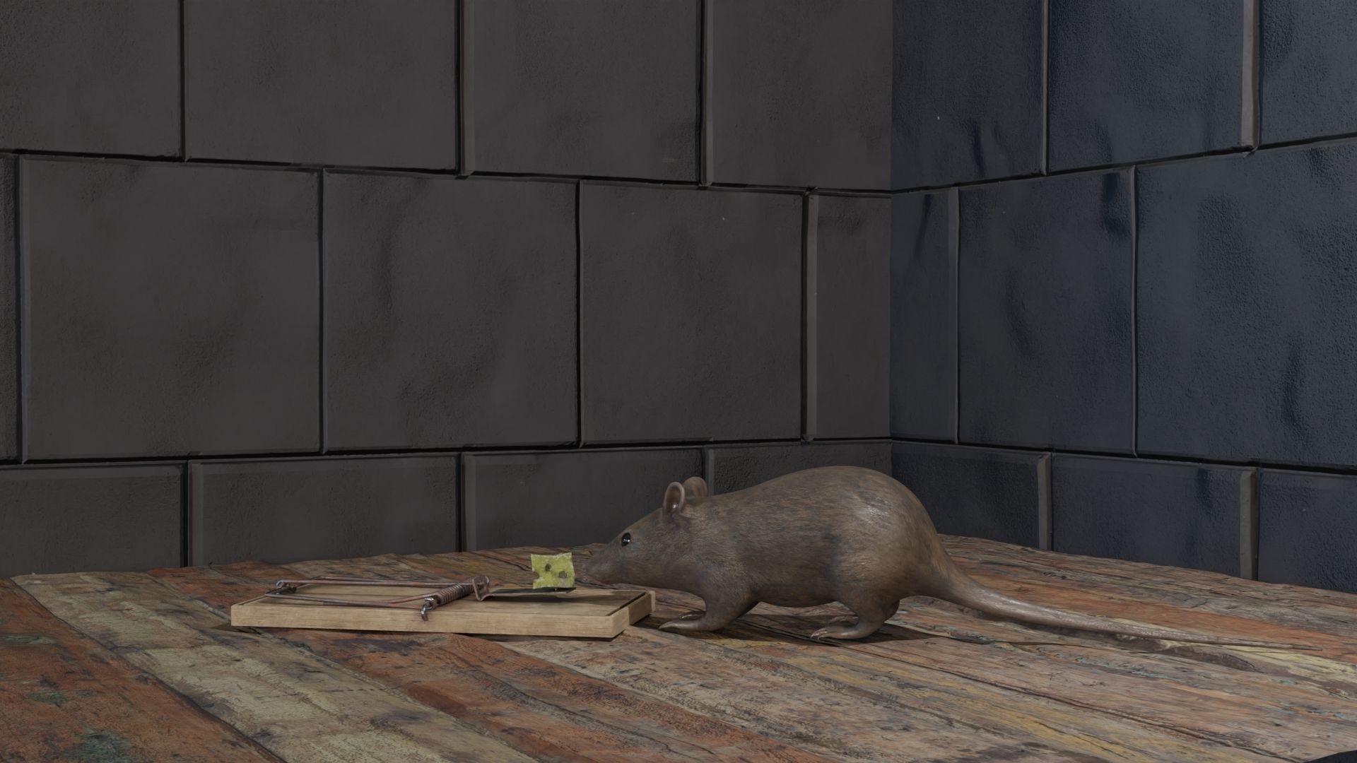 Mouse rat Plus Mousetrap Low-poly 3D model_3