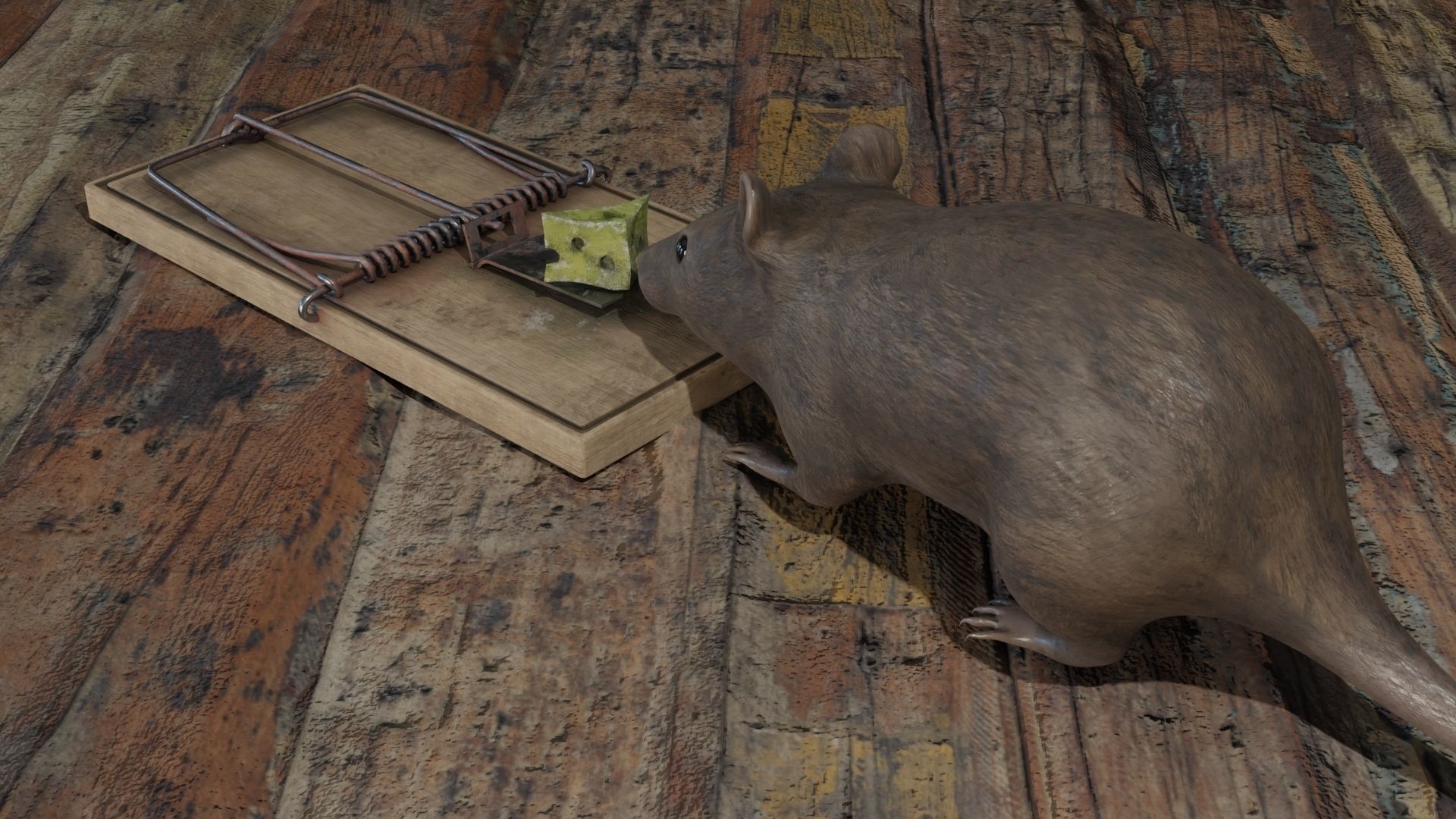 Mouse rat Plus Mousetrap Low-poly 3D model_4