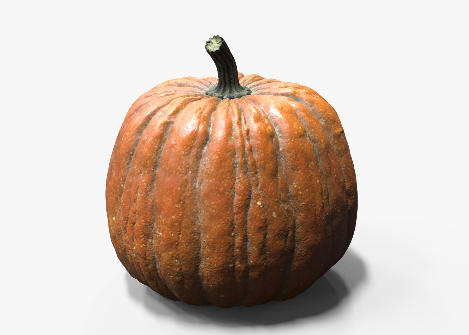 Halloween old pumpkin ZB high model 3D model_2