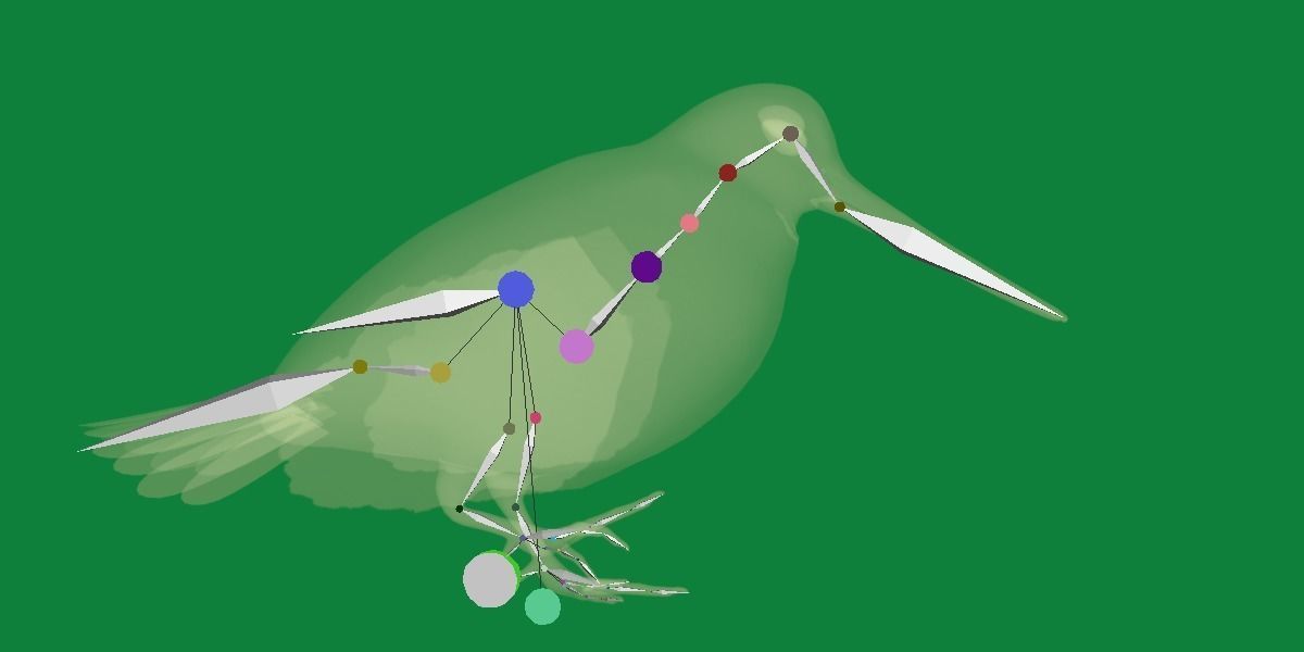 Woodcock Wading Bird Low-poly 3D model_26