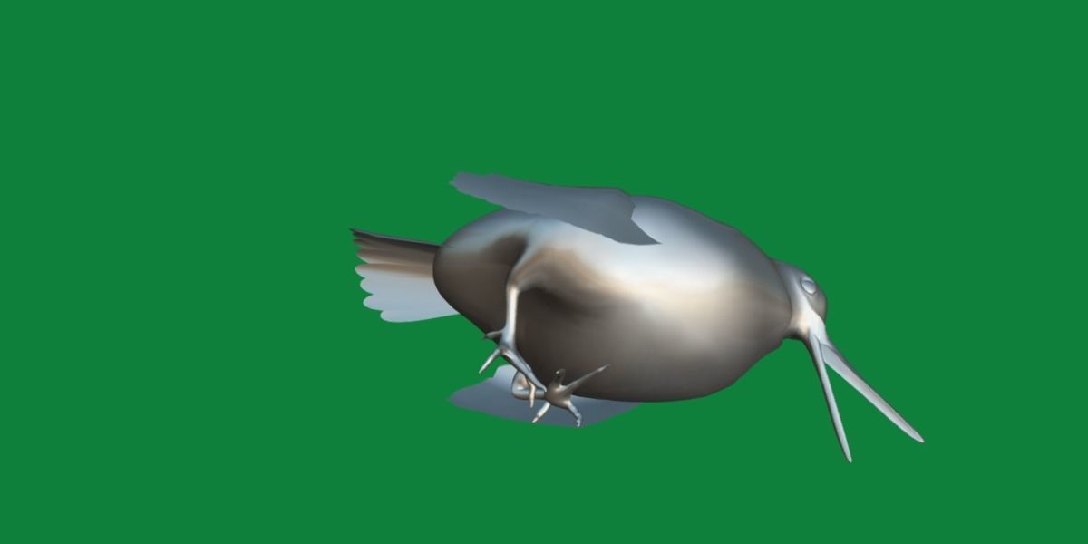 Woodcock Wading Bird Low-poly 3D model_14