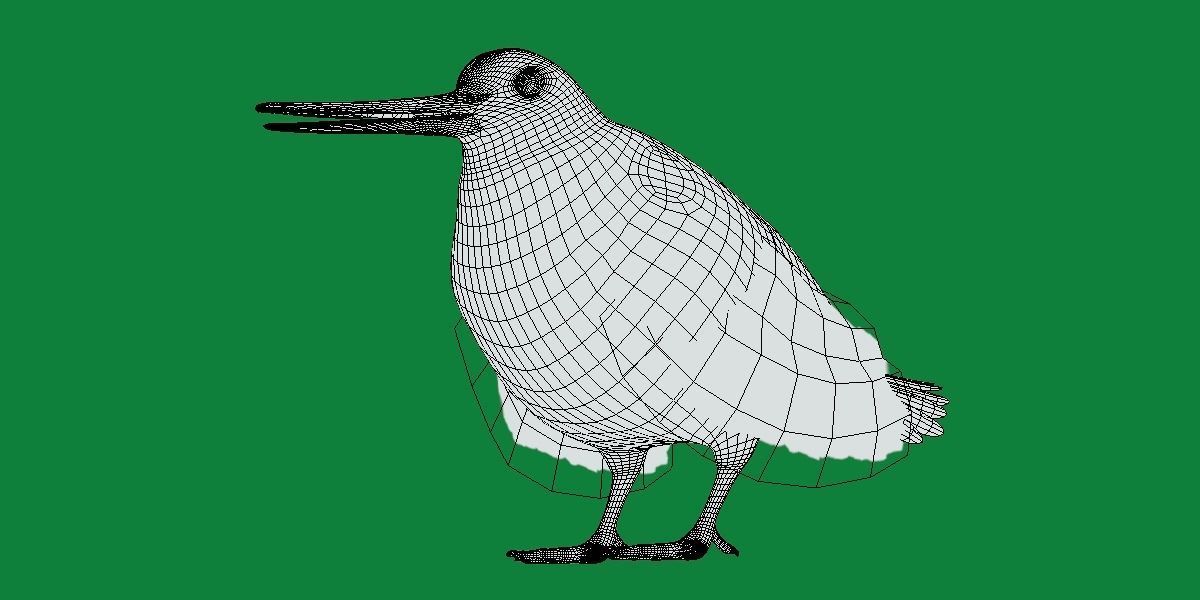 Woodcock Wading Bird Low-poly 3D model_17