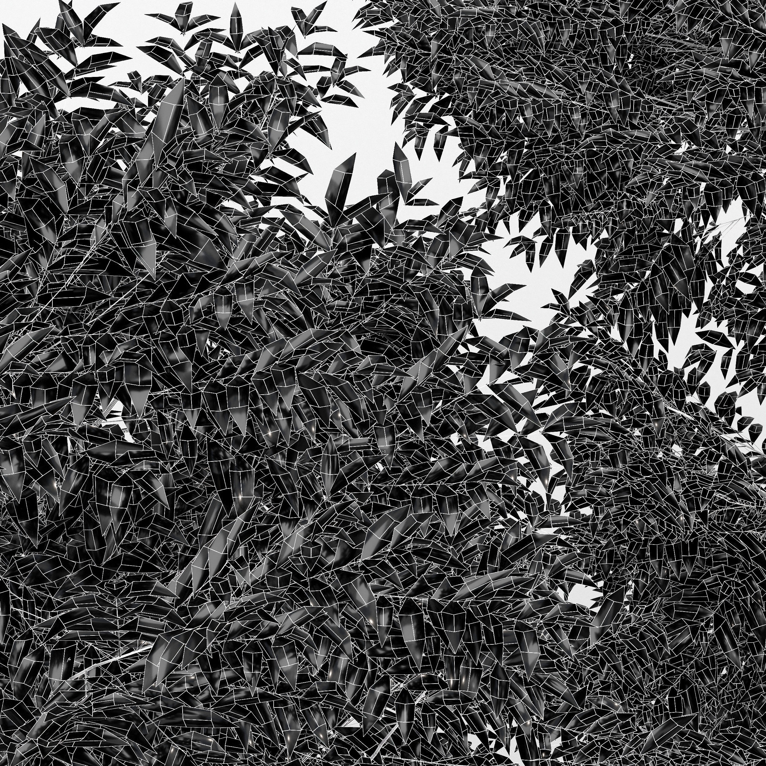 Black locust blossom and Canadian Poplar 3D model_6