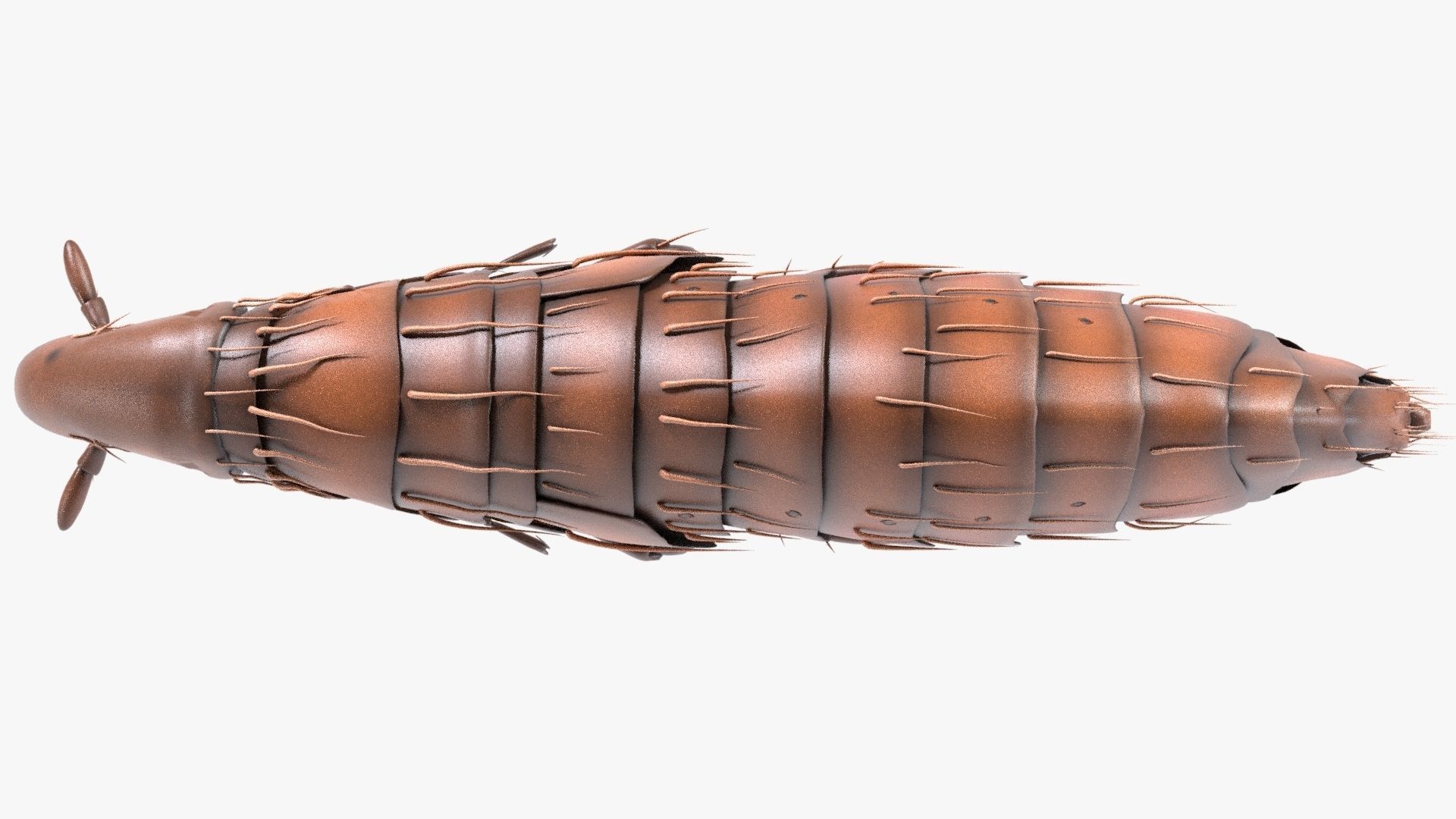 4K Textures Realistic Flea  Low-poly 3D model_8