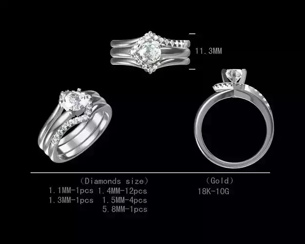 Women Engagement Double Band Rings 3D print model