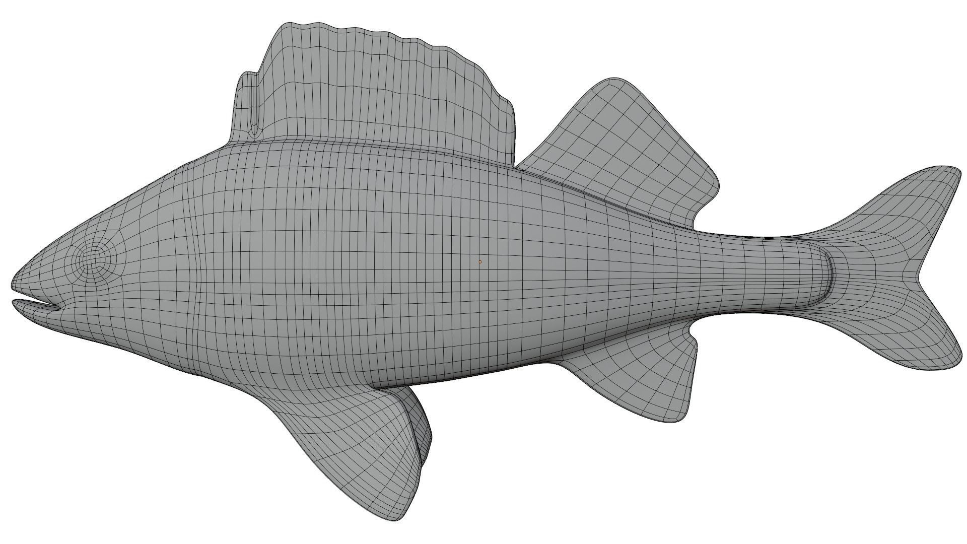 Bass Fish 3D model_10
