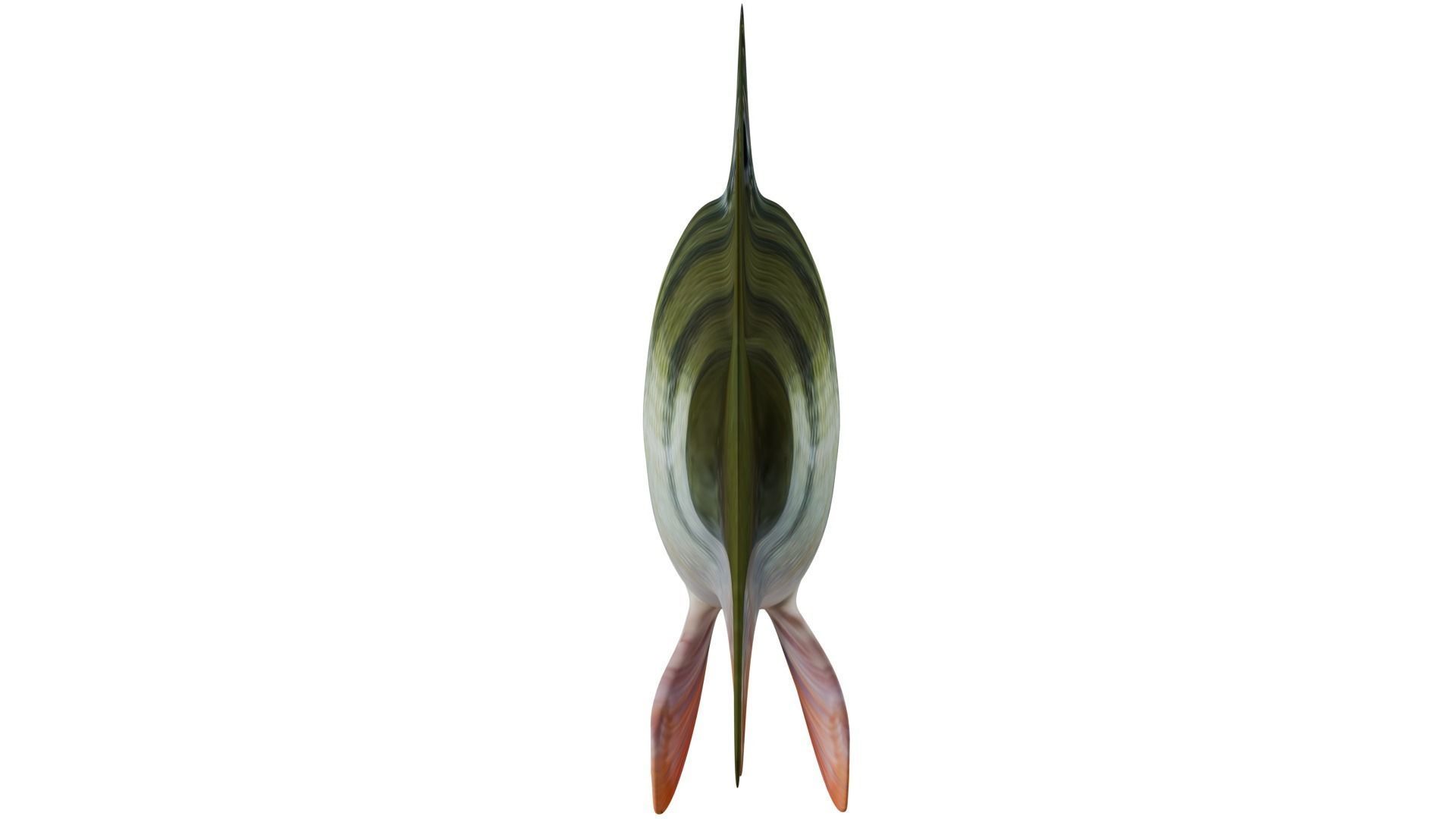 Bass Fish 3D model_3