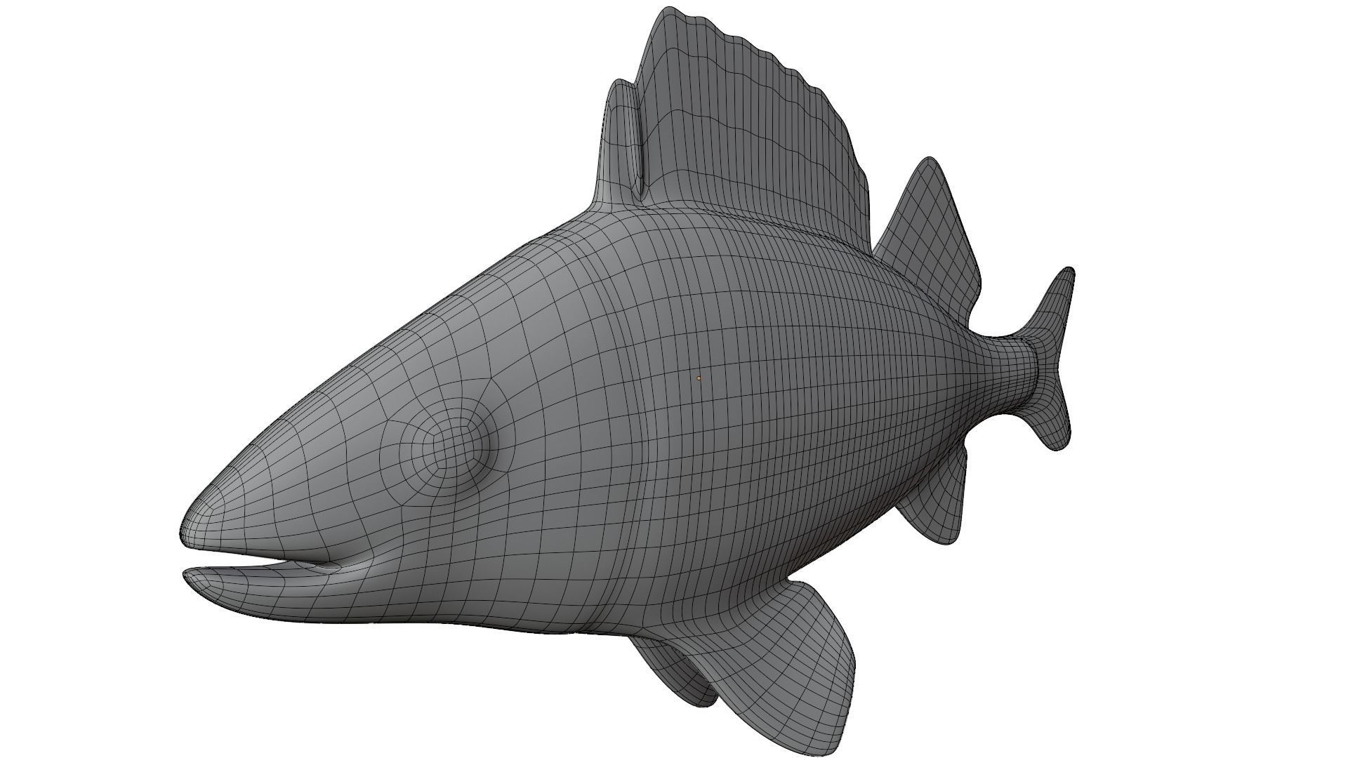 Bass Fish 3D model_9