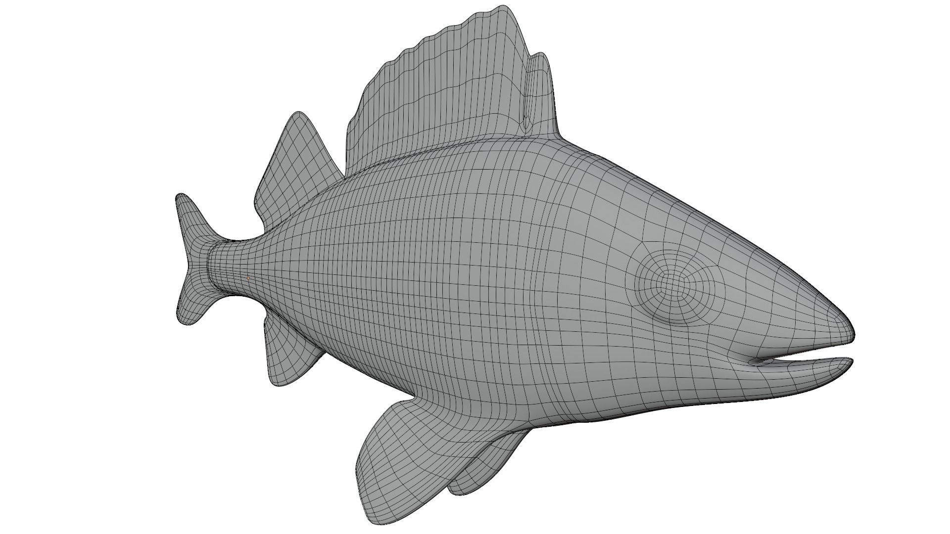 Bass Fish 3D model_15