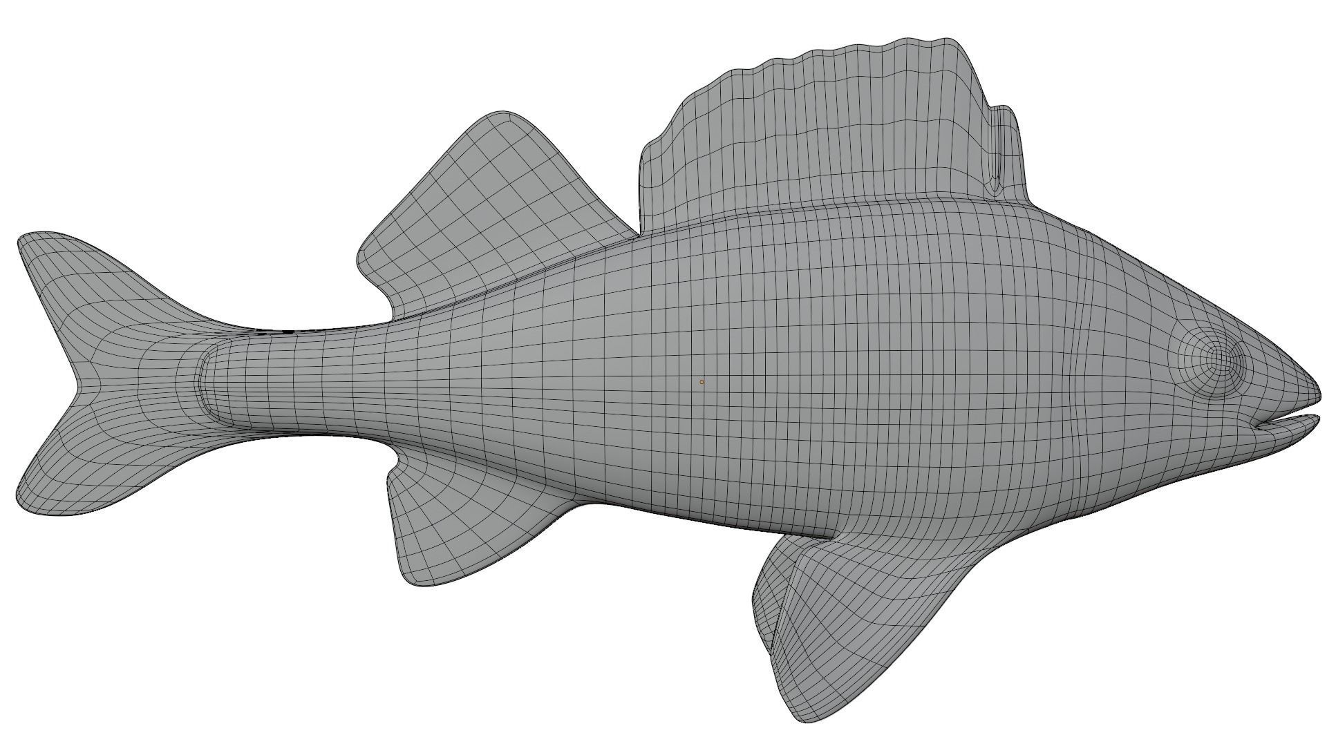 Bass Fish 3D model_14