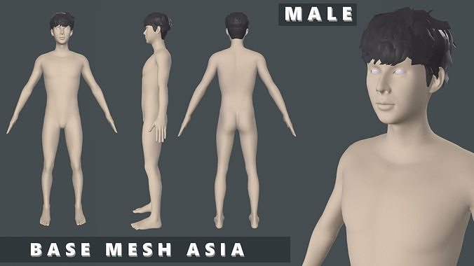 Base Mesh Pack - Asia Base Free low-poly 3D model