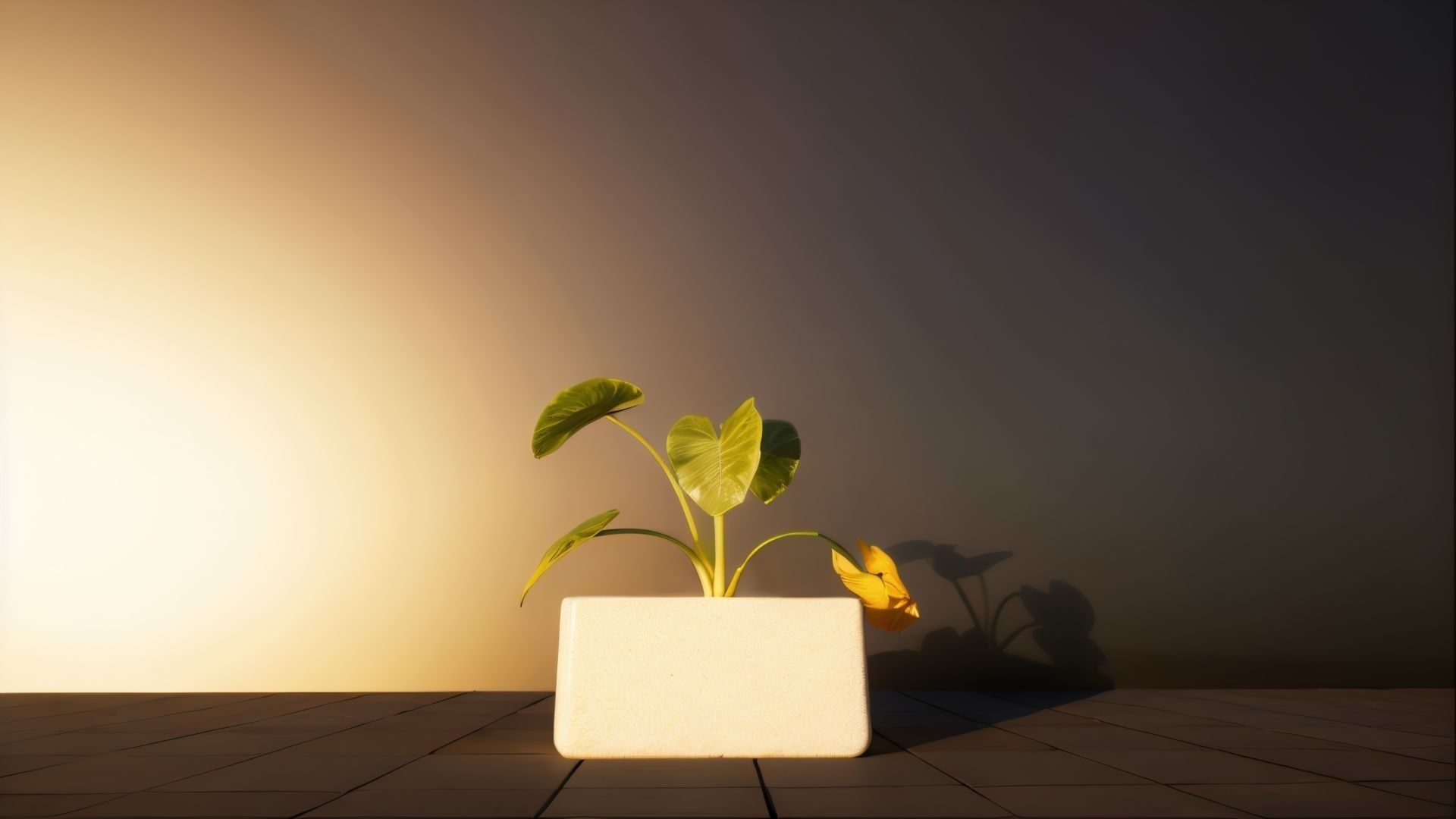 ROUND EGDE 3D print model_9