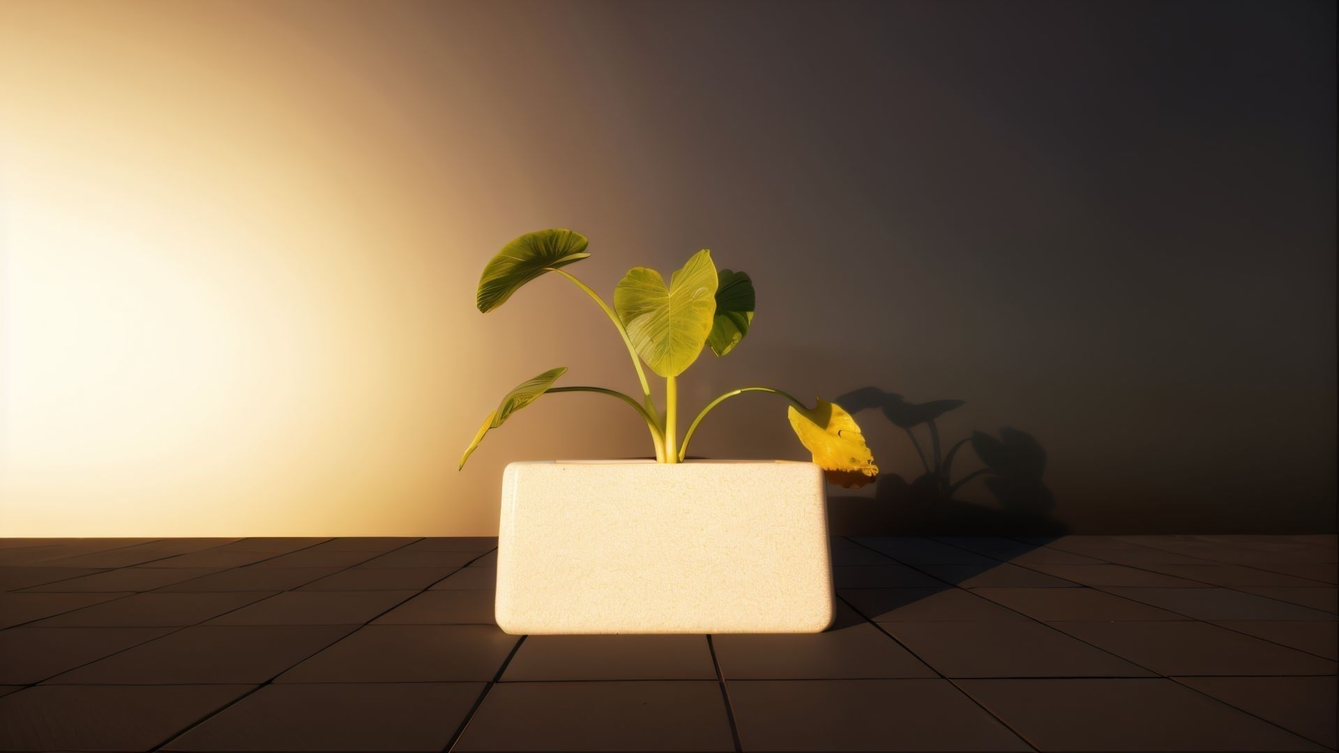 ROUND EGDE 3D print model_8