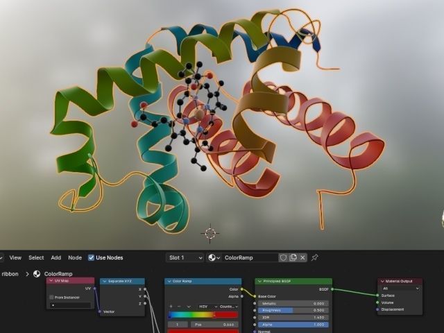 Myoglobin 3D protein model 3D model_8