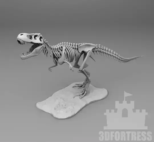 Skeleton 3D print model