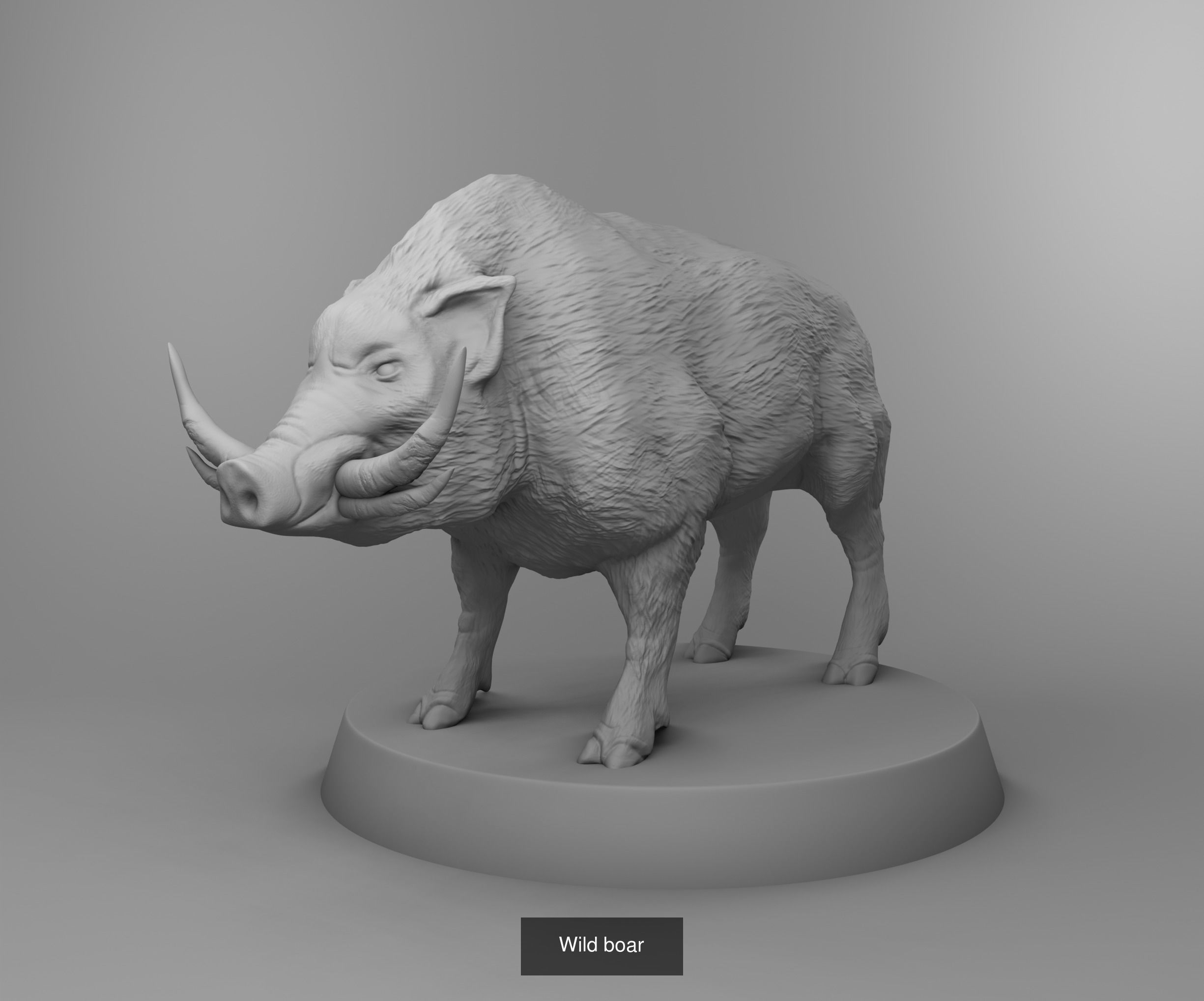 Wild animals 3D Model Collection_6