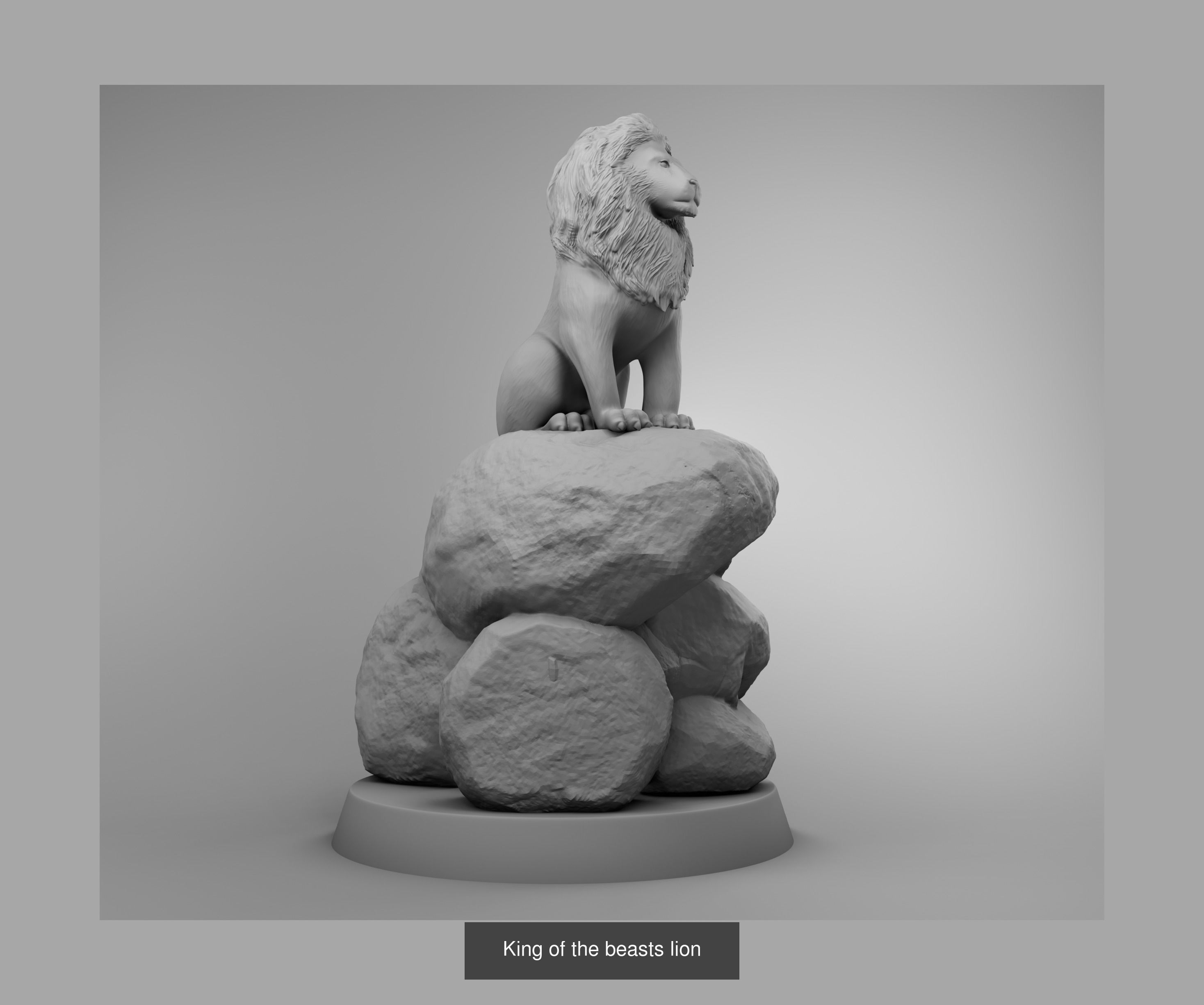 Wild animals 3D Model Collection_19