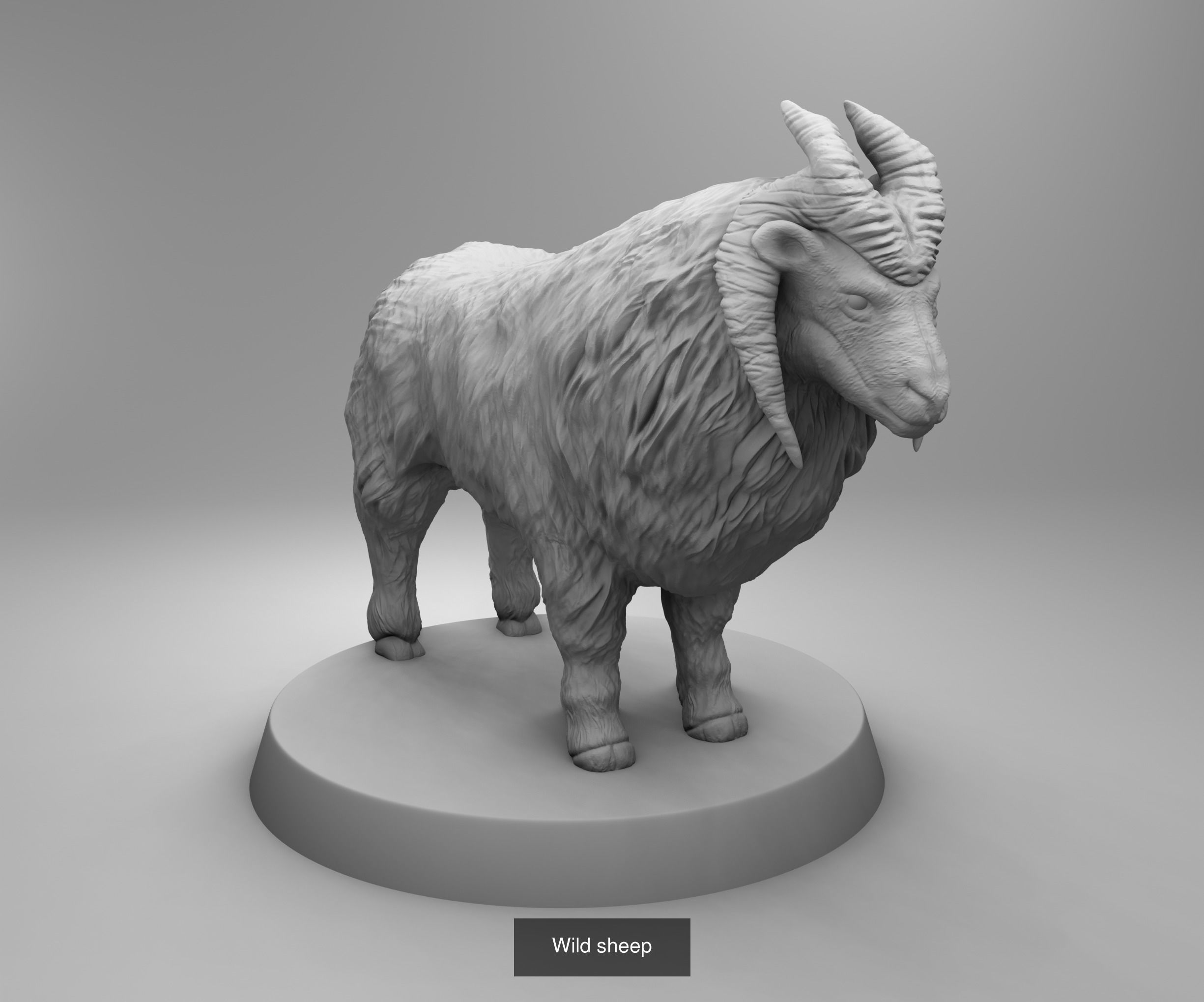 Wild animals 3D Model Collection_21