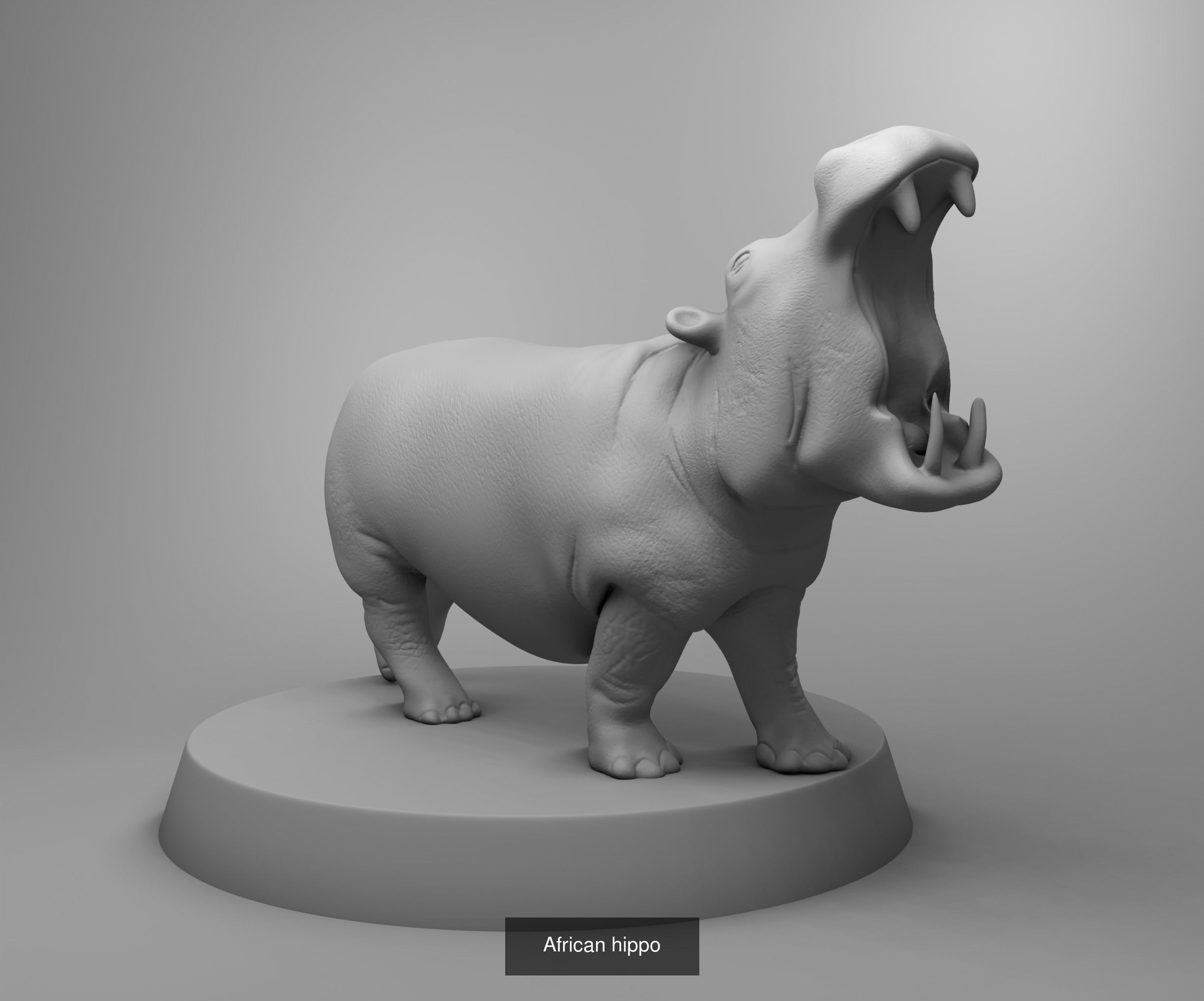 Wild animals 3D Model Collection_15
