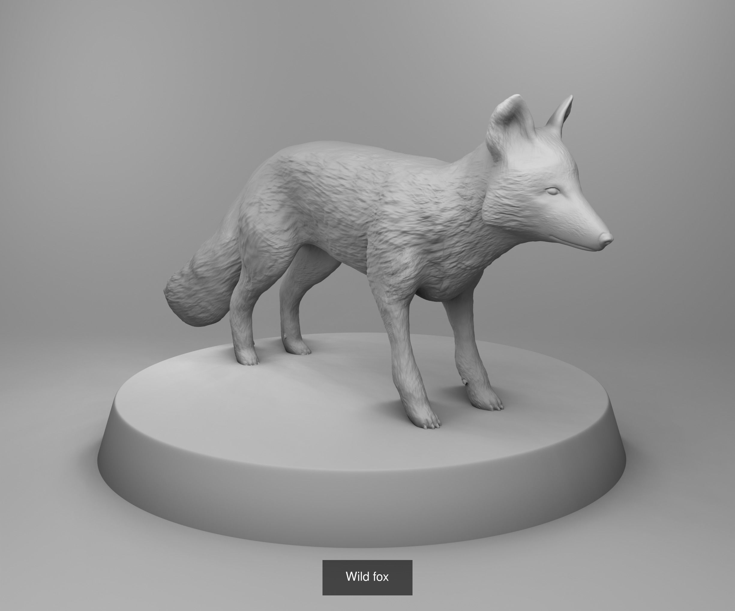 Wild animals 3D Model Collection_12