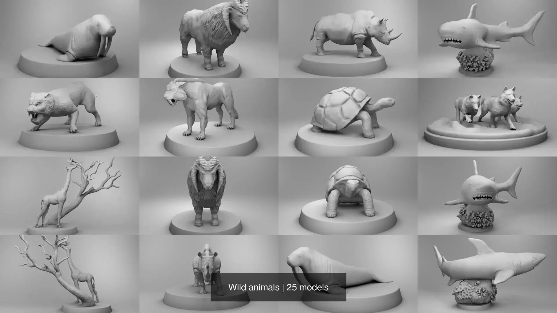 Wild animals 3D Model Collection_2