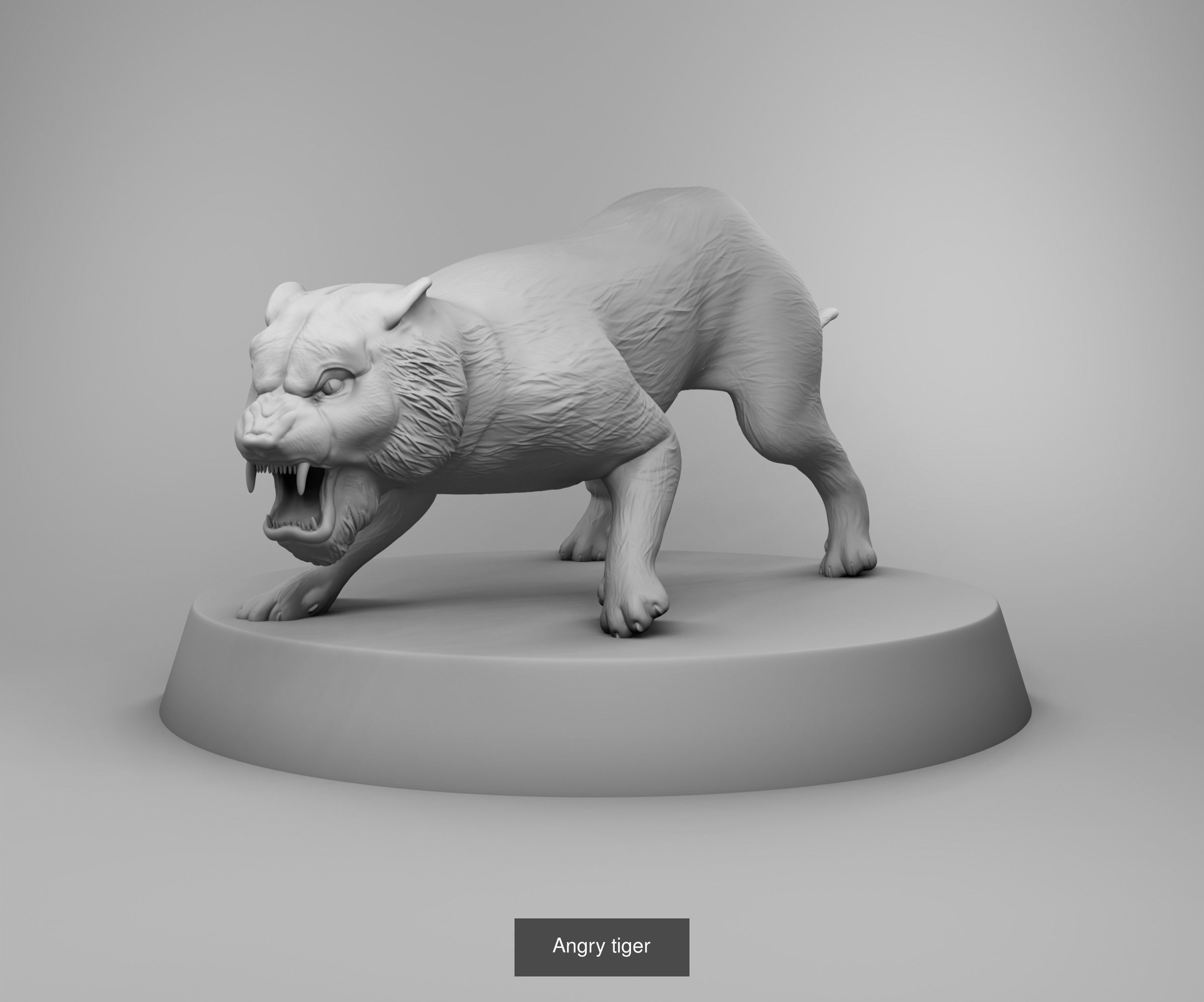 Wild animals 3D Model Collection_24