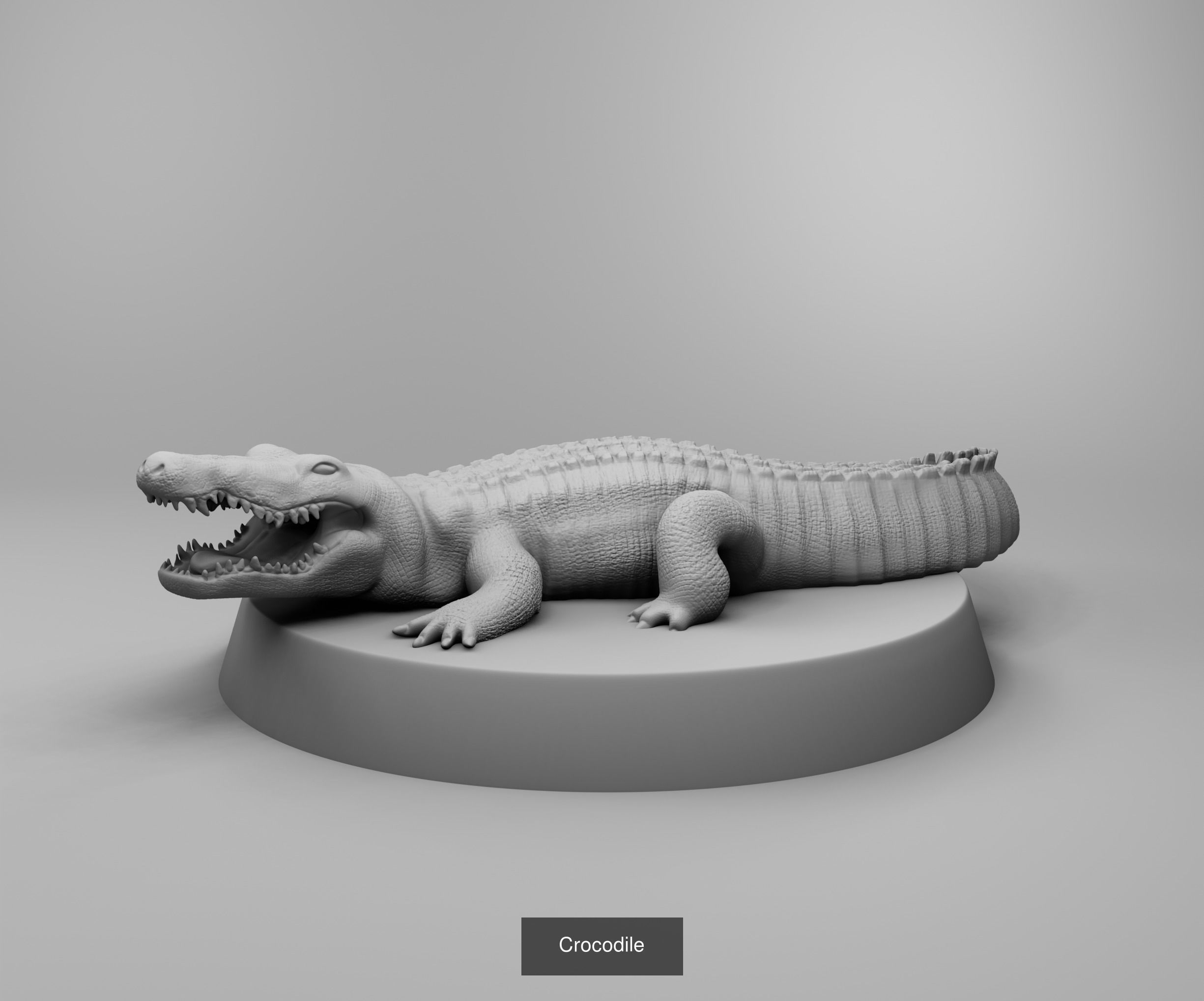 Wild animals 3D Model Collection_9