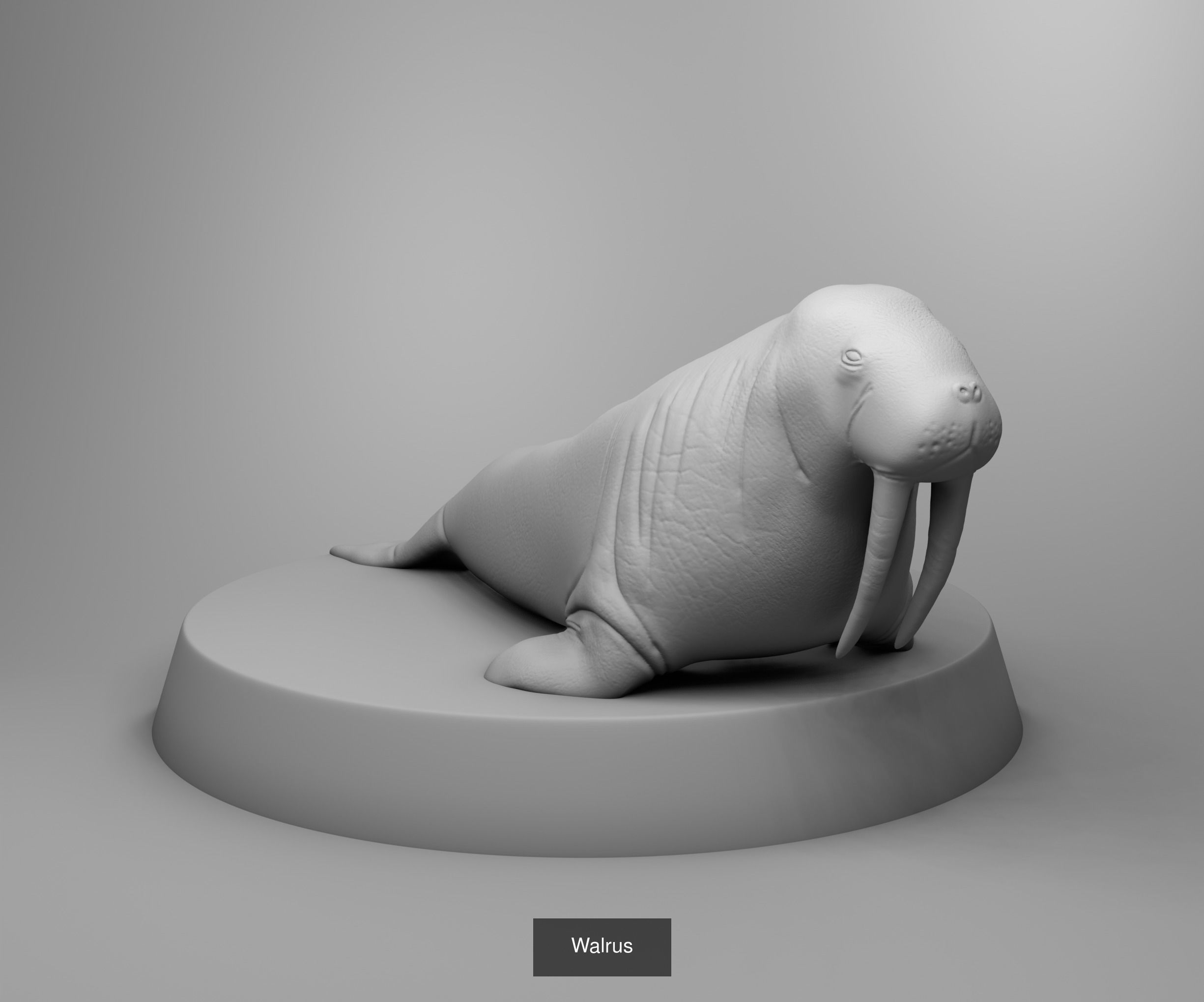Wild animals 3D Model Collection_20