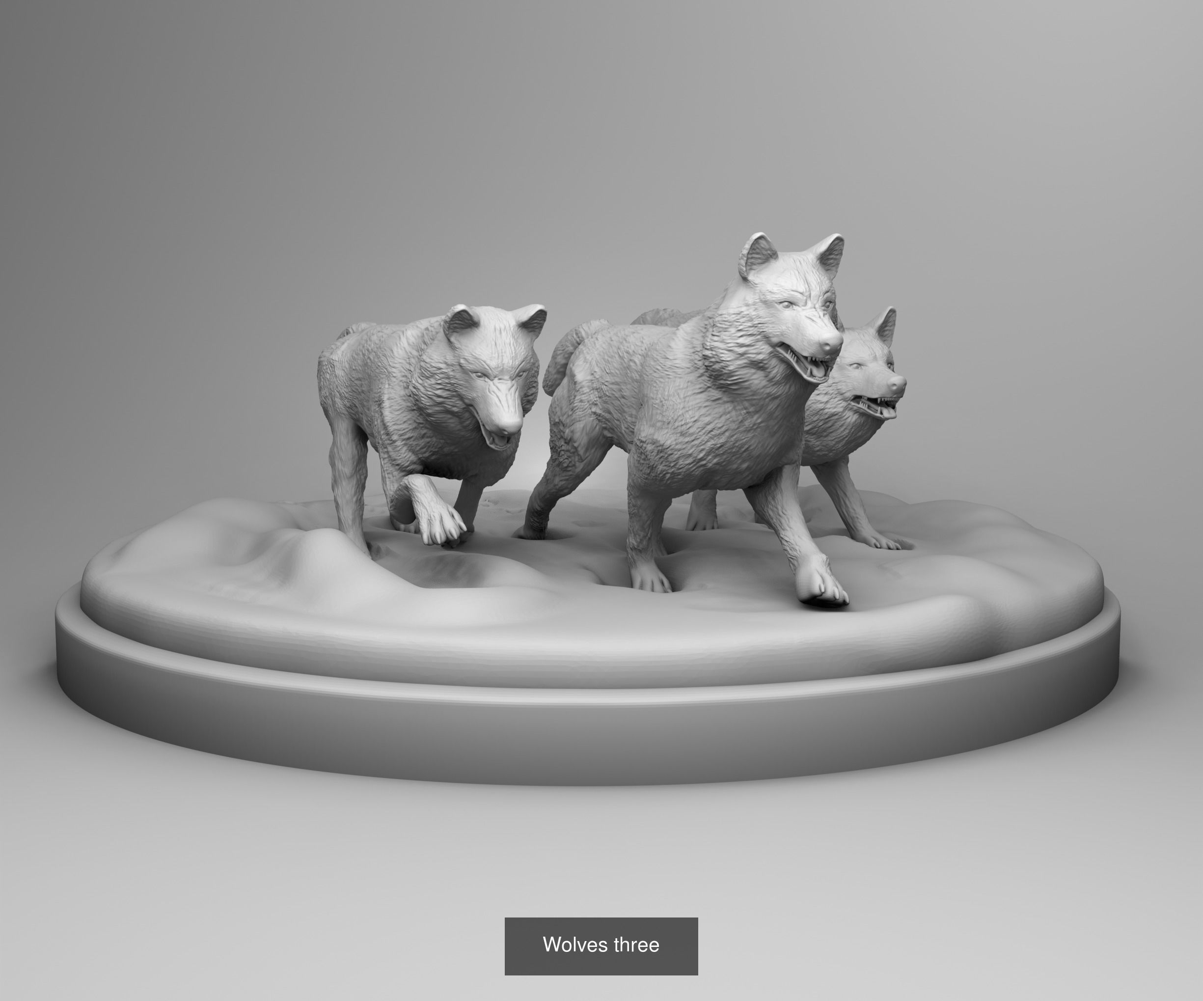 Wild animals 3D Model Collection_27