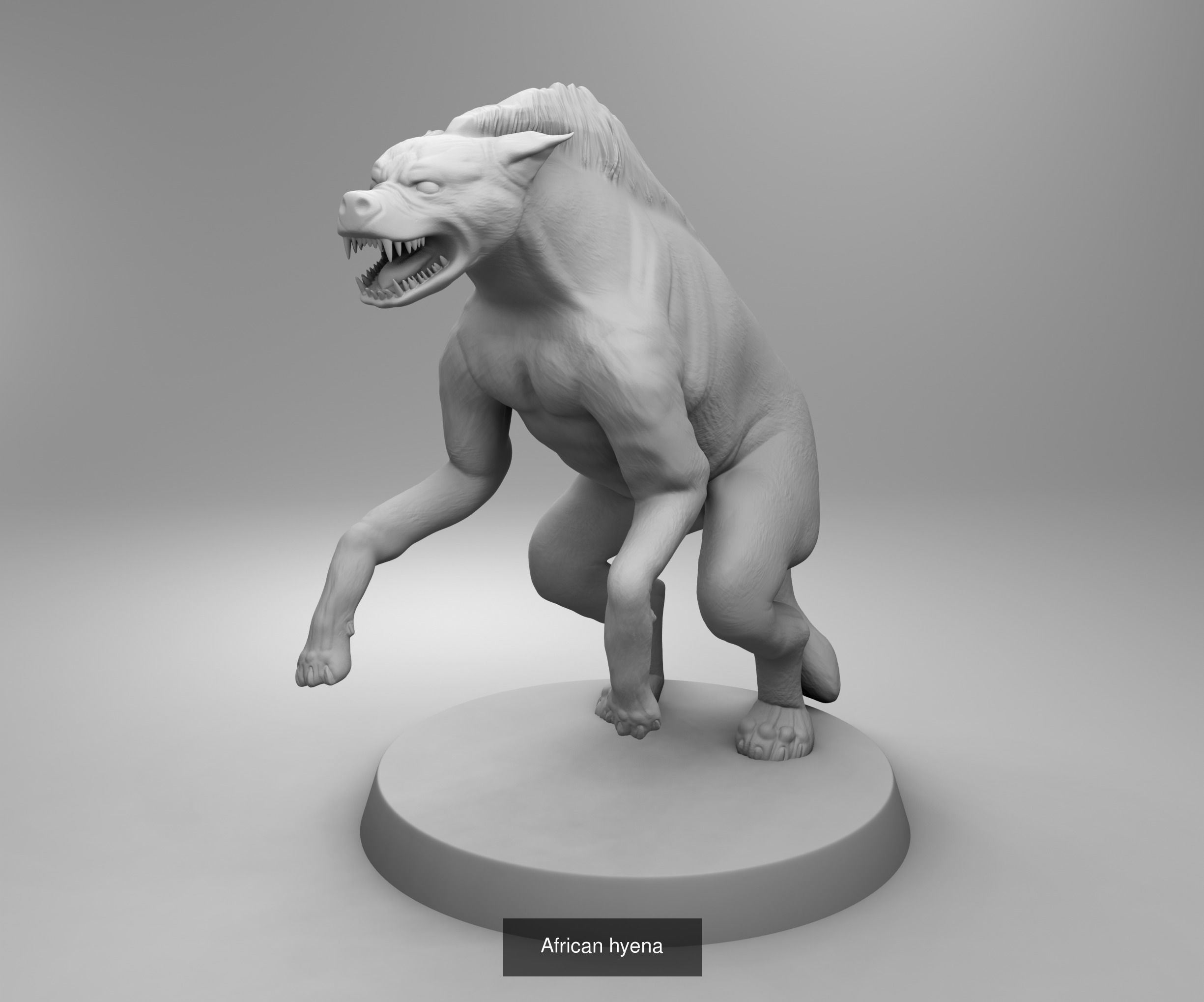 Wild animals 3D Model Collection_17