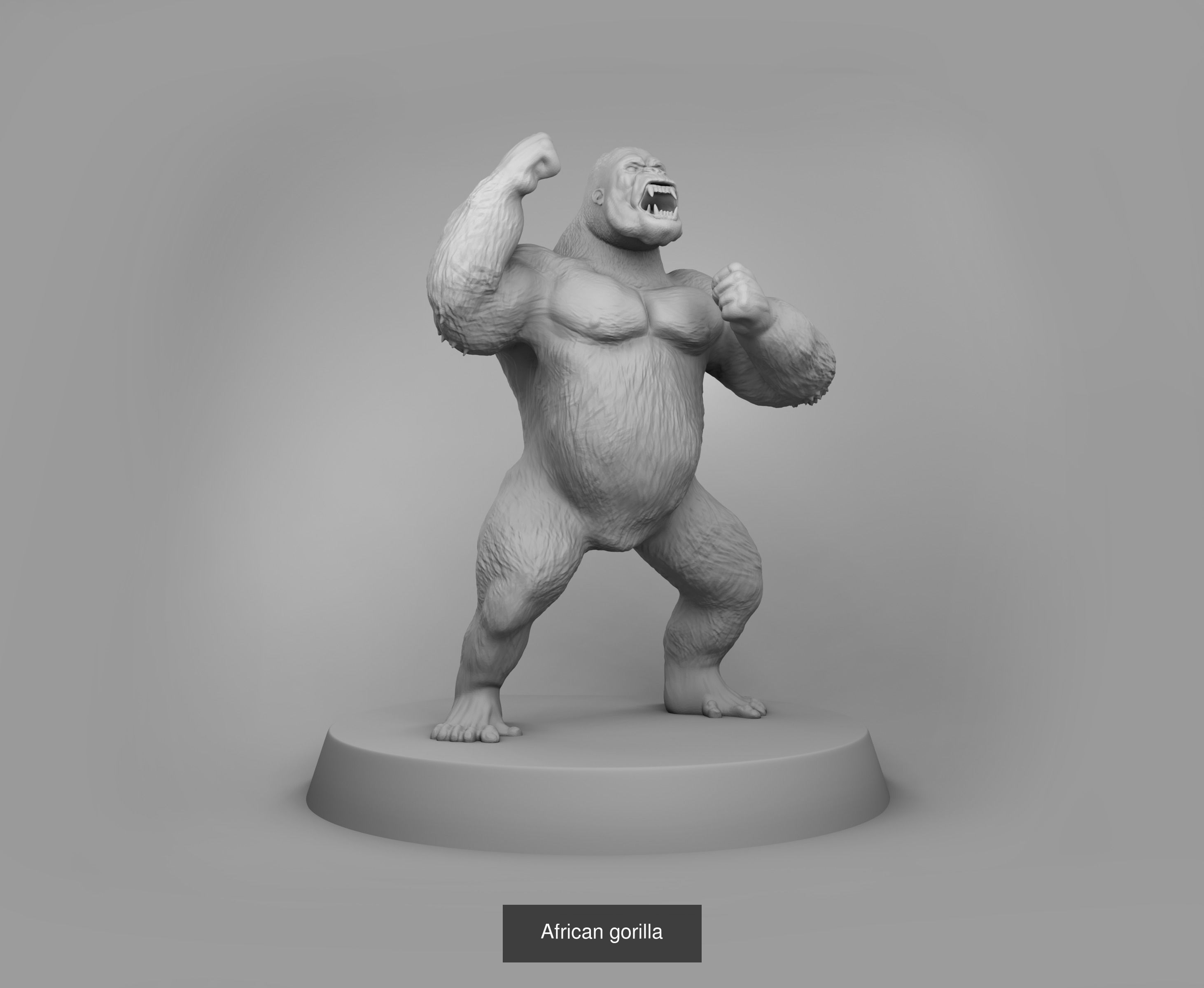 Wild animals 3D Model Collection_13