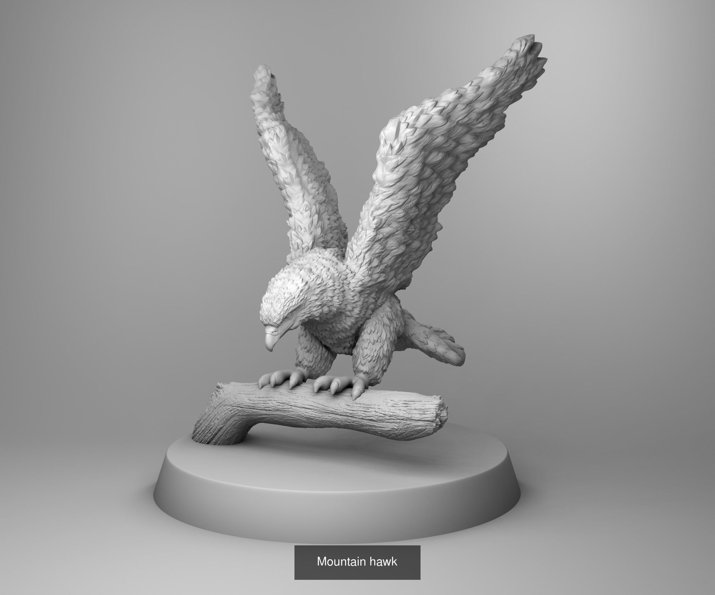 Wild animals 3D Model Collection_14