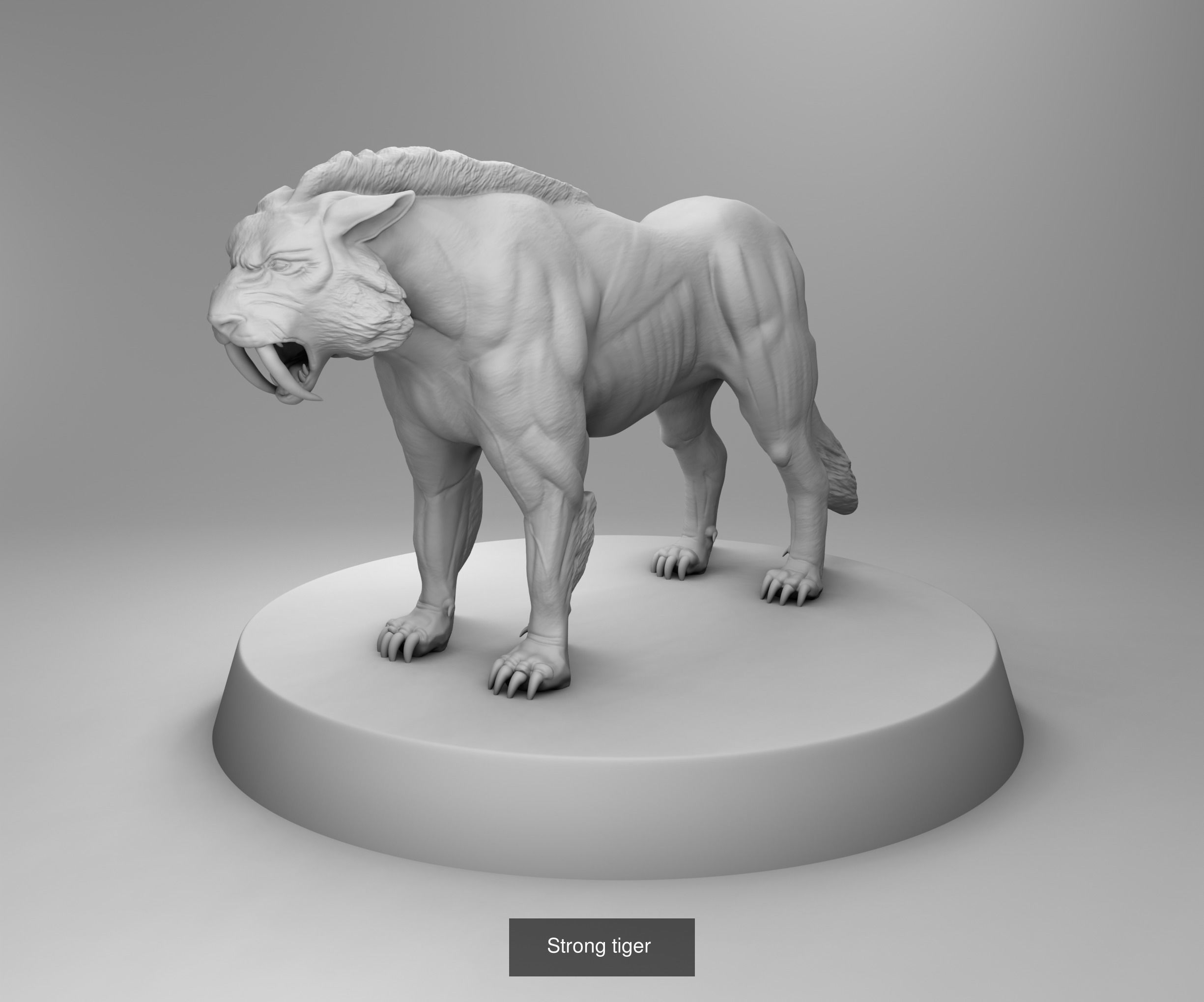Wild animals 3D Model Collection_25