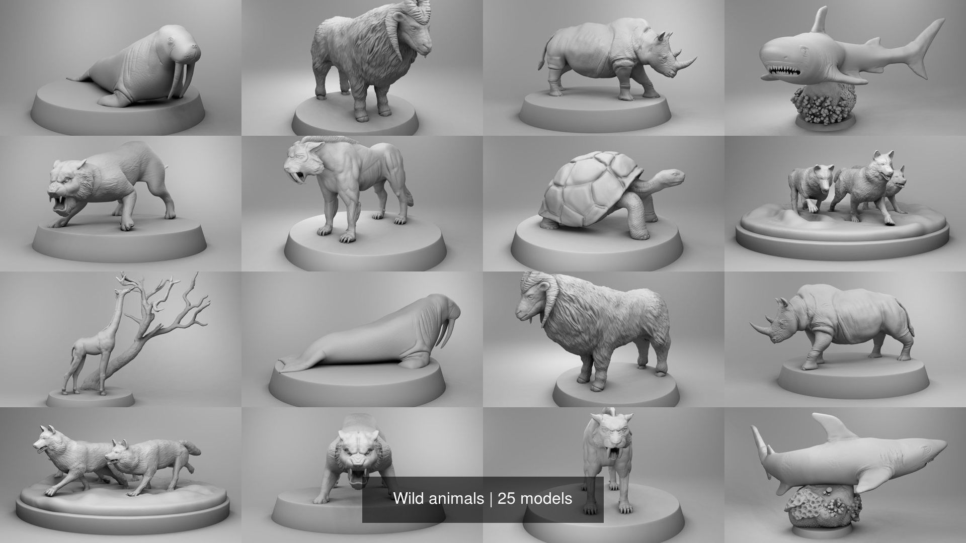 Wild animals 3D Model Collection_3