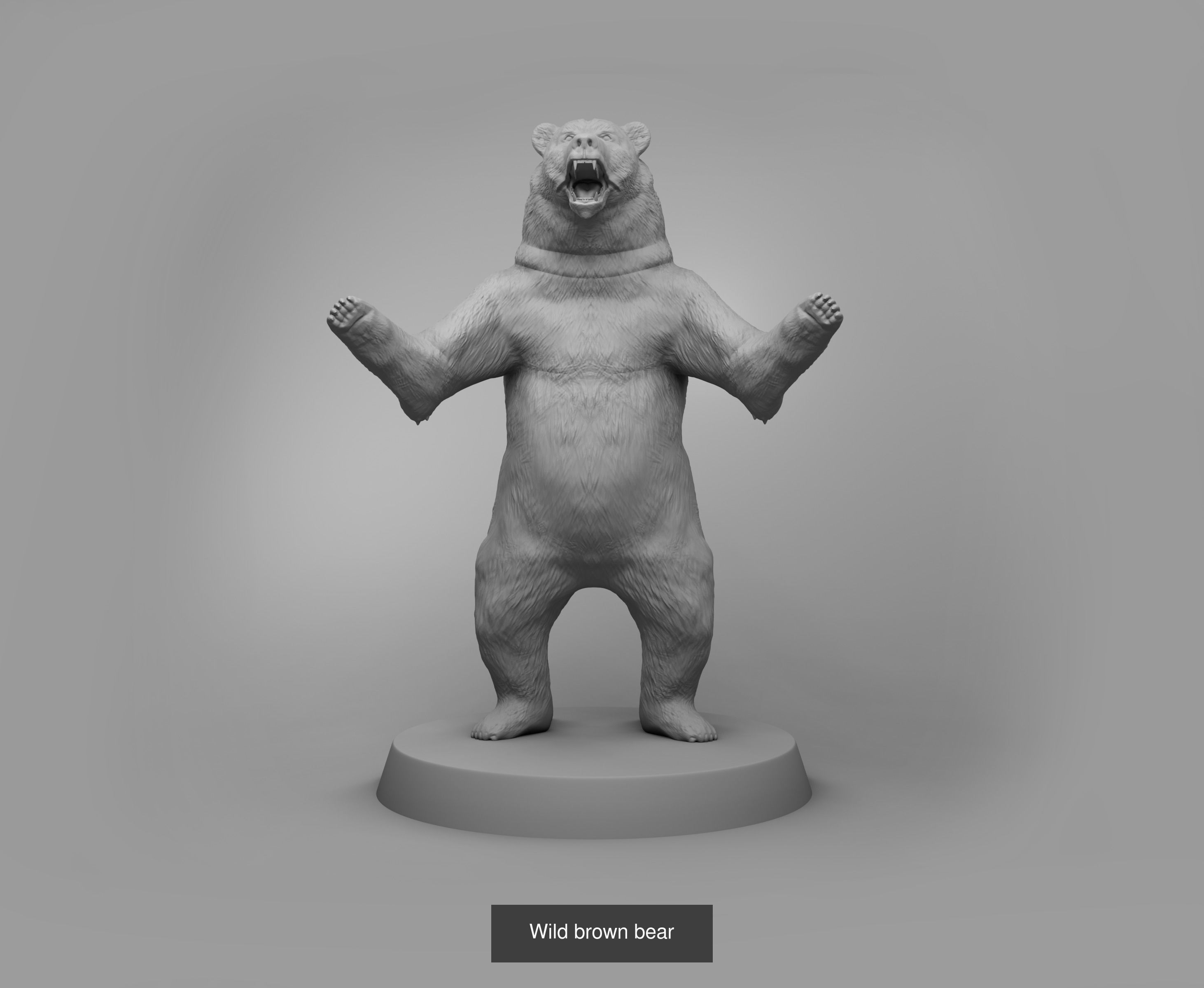 Wild animals 3D Model Collection_5