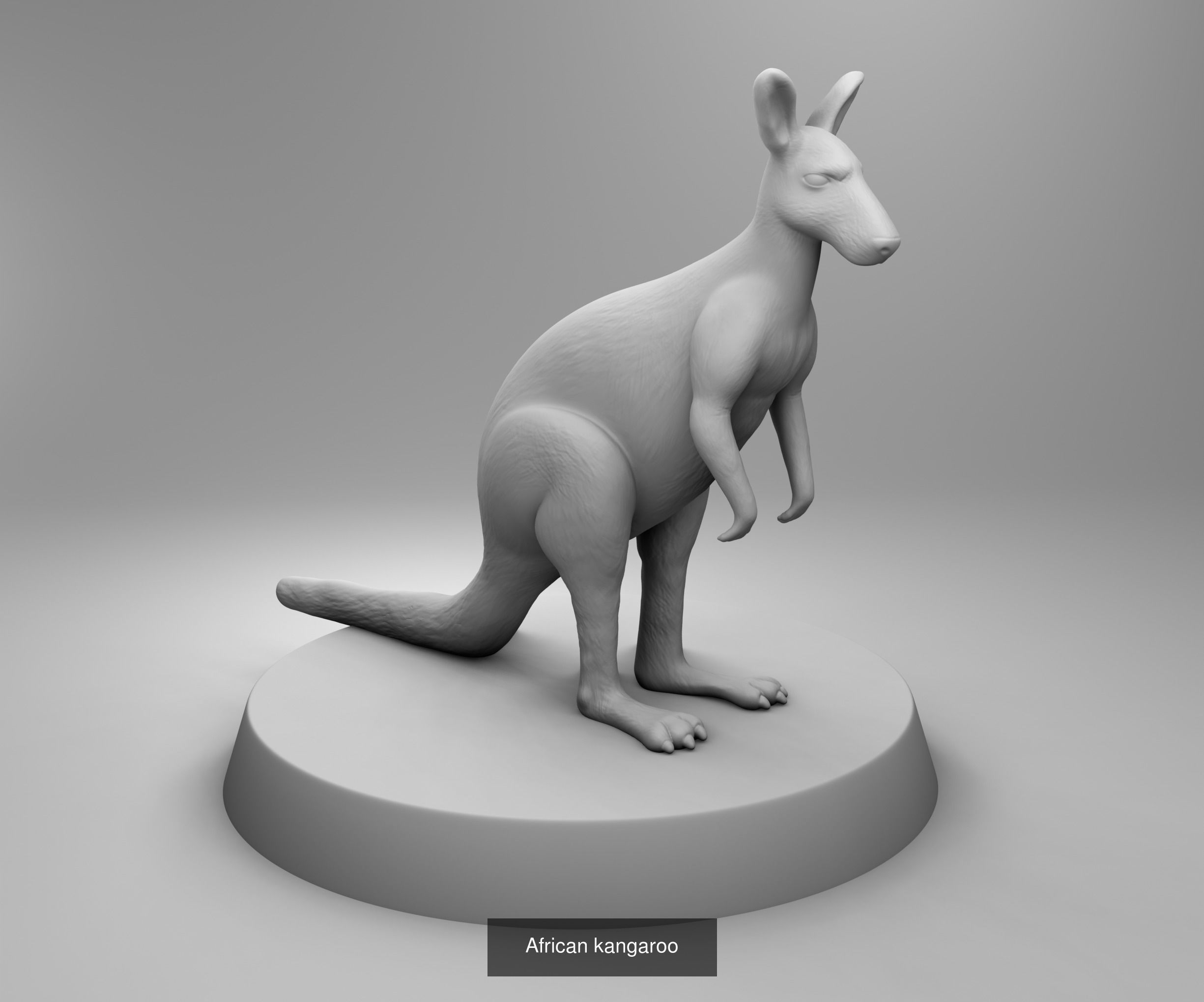 Wild animals 3D Model Collection_18