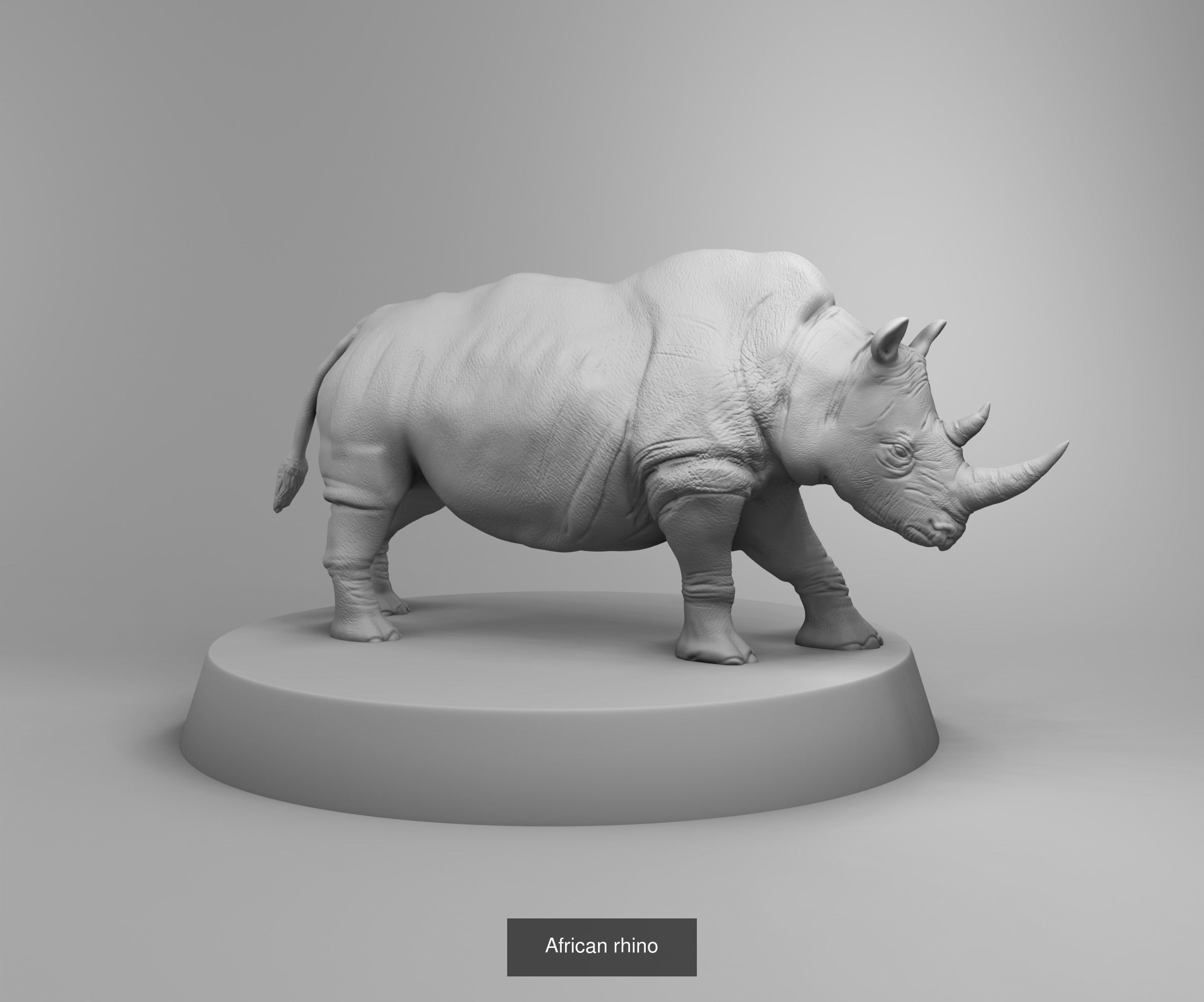 Wild animals 3D Model Collection_22