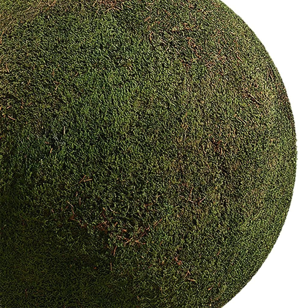Moss Seamless Texture 2K - EXR 5 - JPG 5 Texture Texture_3