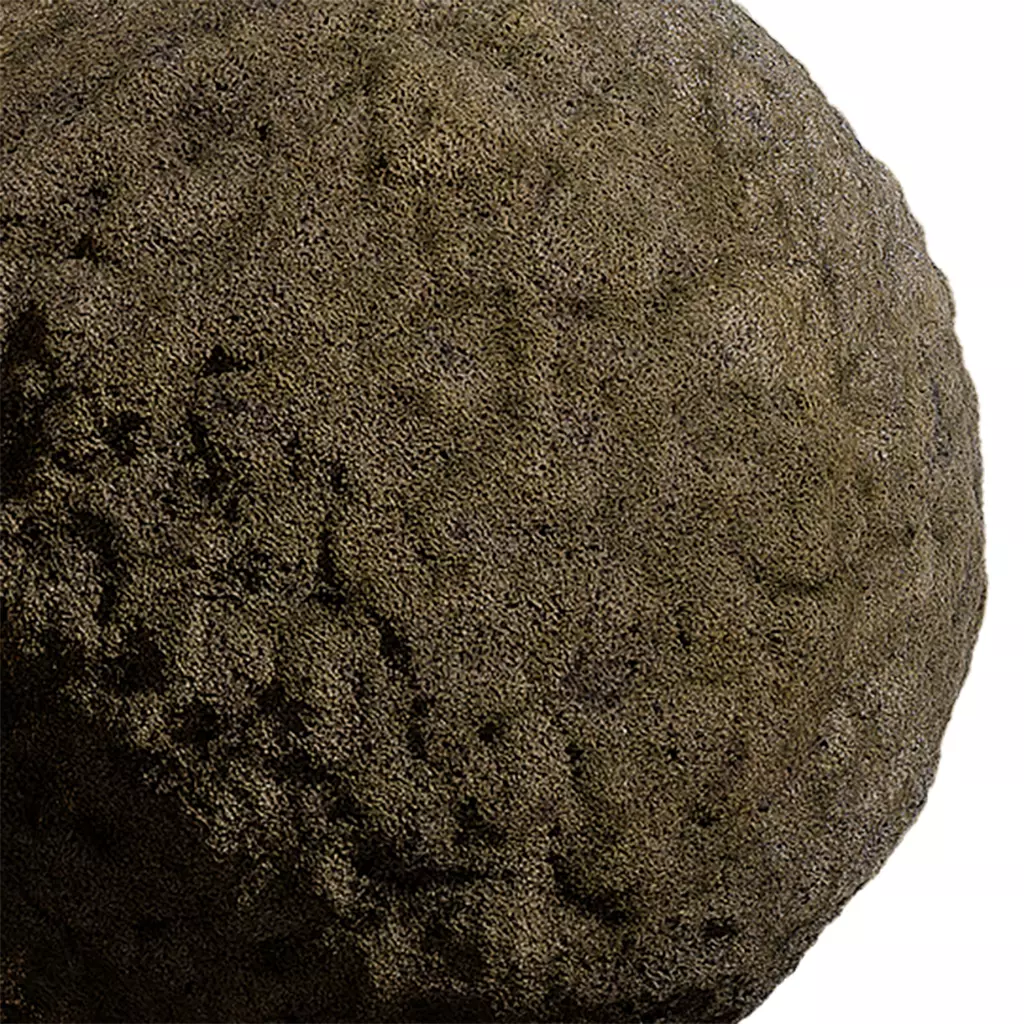 Moss Seamless Texture 2K - EXR 5 - JPG 5 Texture Texture_0