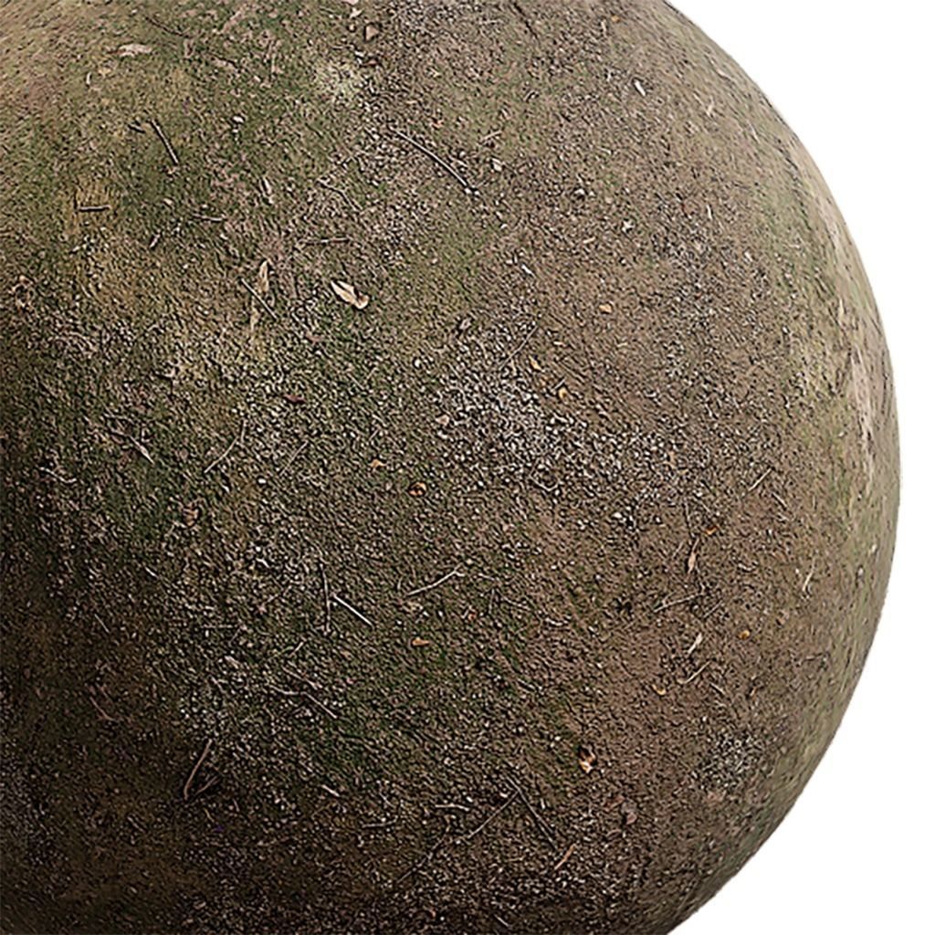Moss Seamless Texture 2K - EXR 5 - JPG 5 Texture Texture_4
