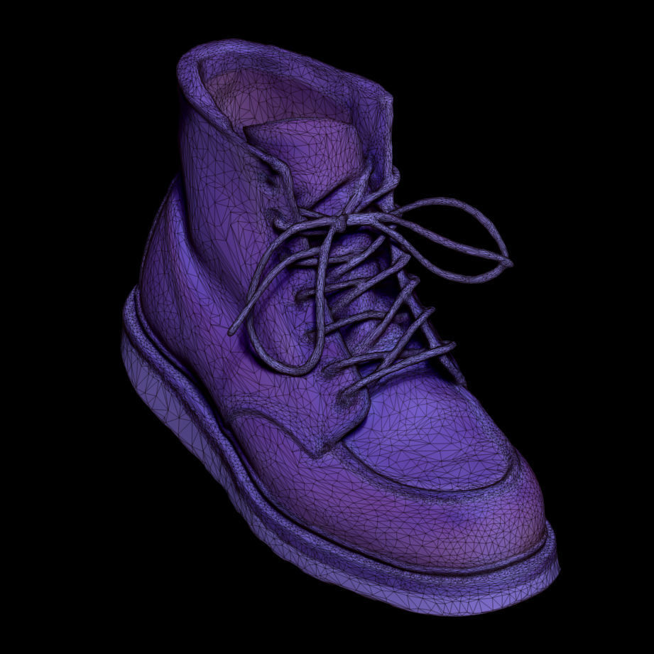 Red Wing Boots 3D Scan Model 3D print model_6