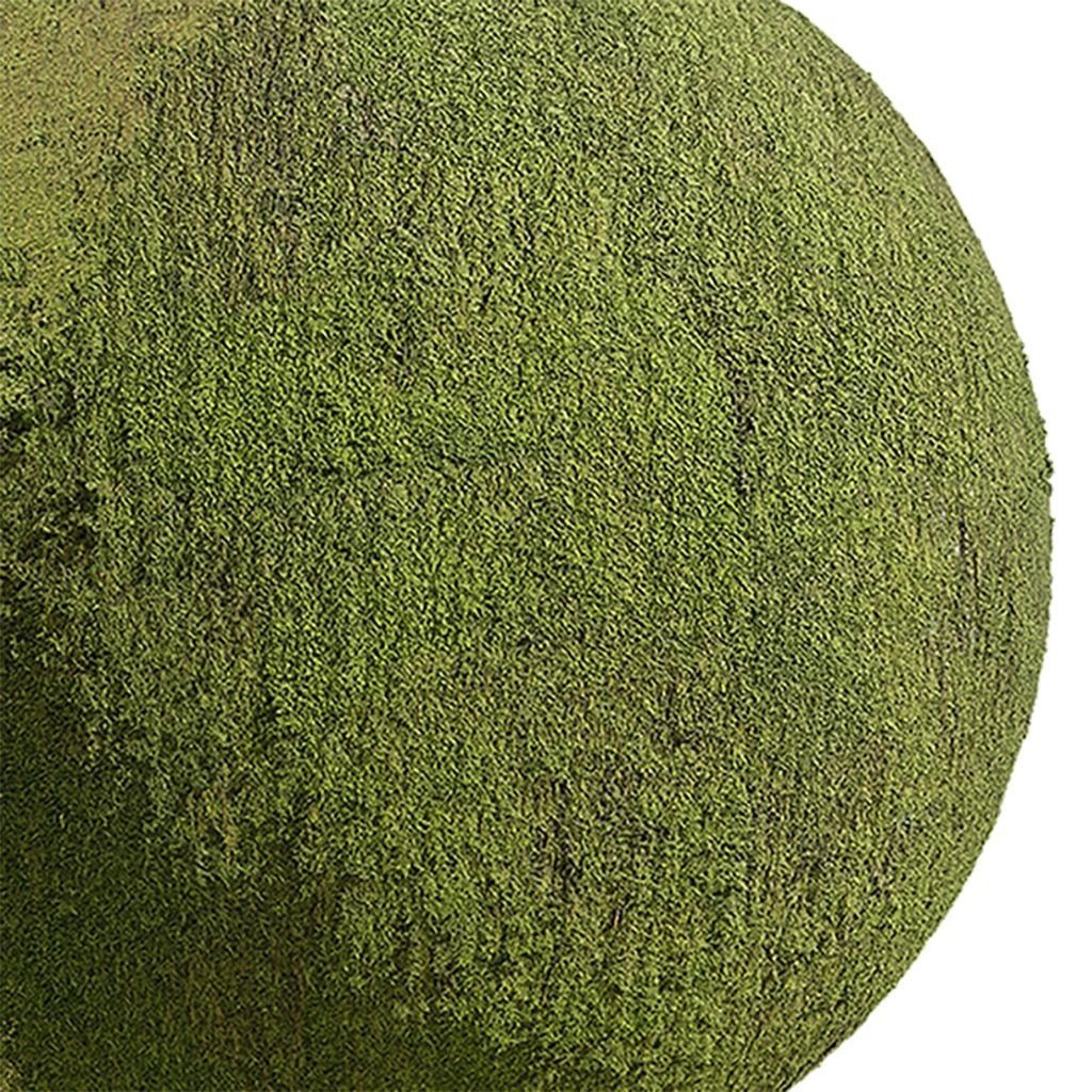 Moss Seamless Texture 2K - EXR 5 - JPG 5 Texture Texture_3