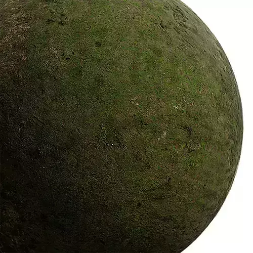 Moss Seamless Texture 2K - EXR 5 - JPG 5 Texture