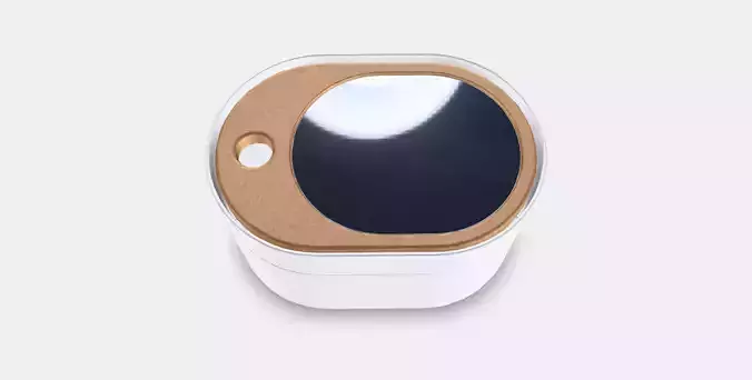 SAXBORGA Storage box with mirror lid