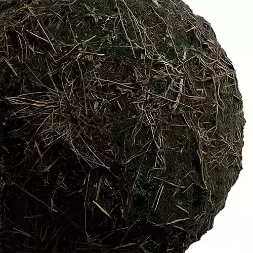 Moss Seamless Texture 2K - EXR 5 - JPG 5 Texture