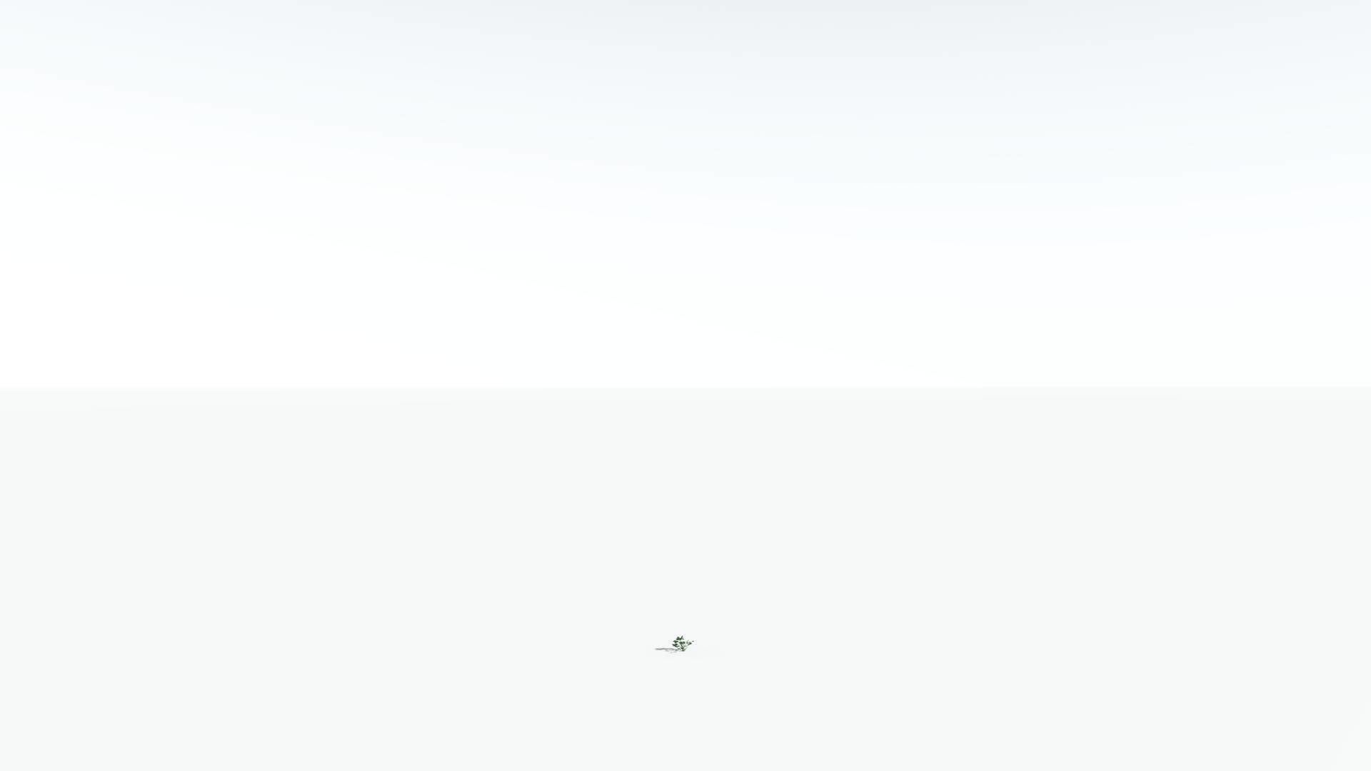 EVERYPlant Tree Heliotrope 1 --14 Models-- 3D model_27