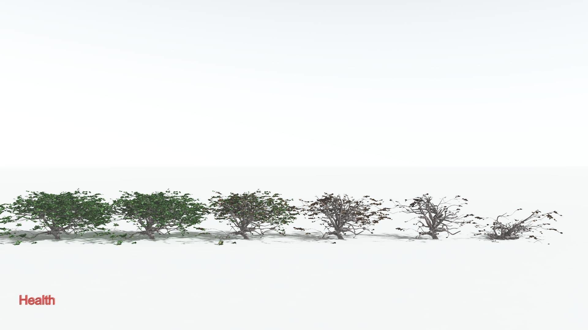 EVERYPlant Tree Heliotrope 1 --14 Models-- 3D model_2