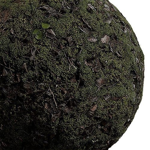 Moss Seamless Texture 2K - EXR 5 - JPG 5 Texture Texture
