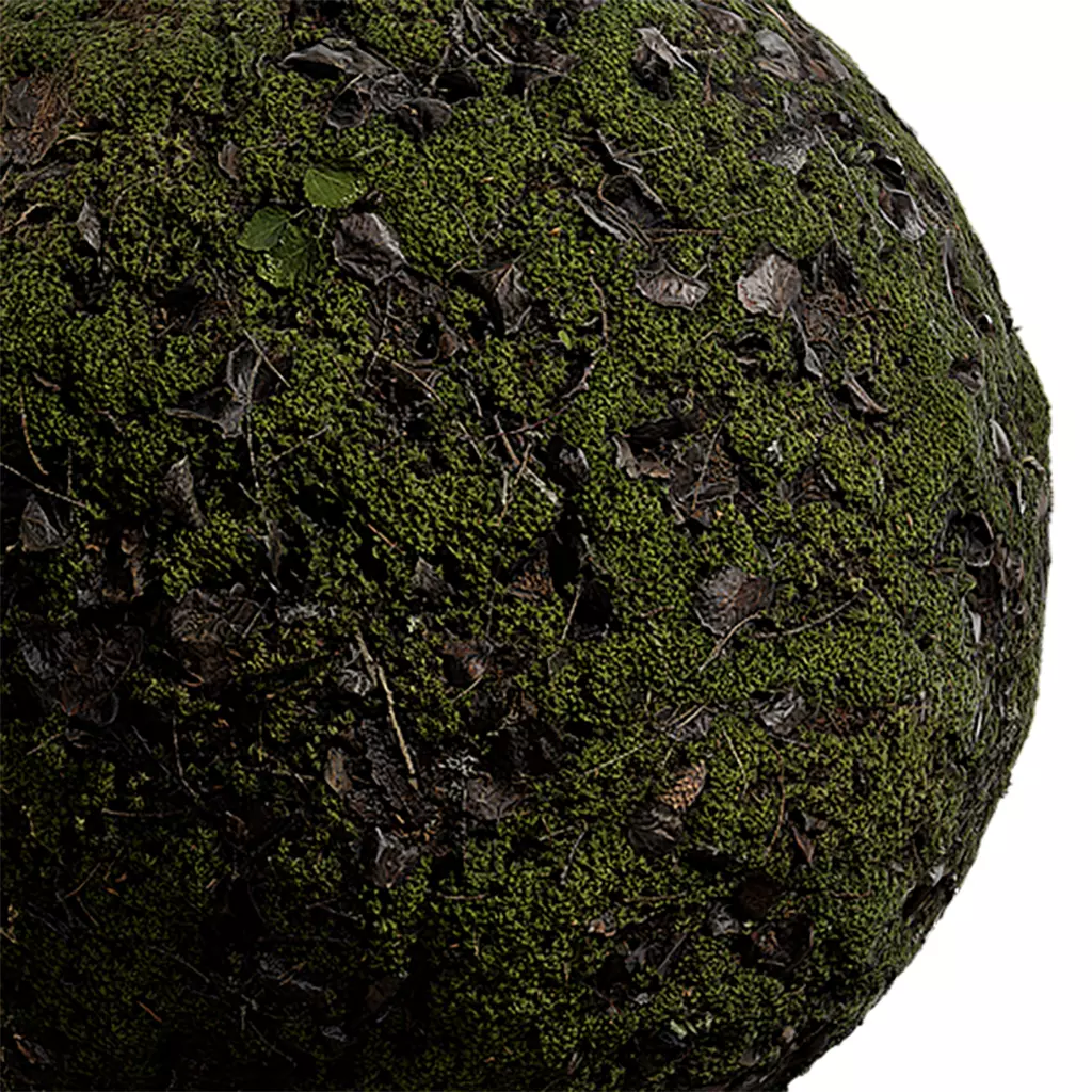 Moss Seamless Texture 2K - EXR 5 - JPG 5 Texture Texture_0